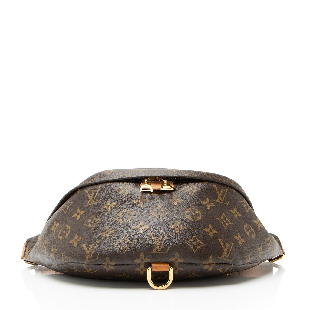 Louis Vuitton Monogram Canvas Bumbag