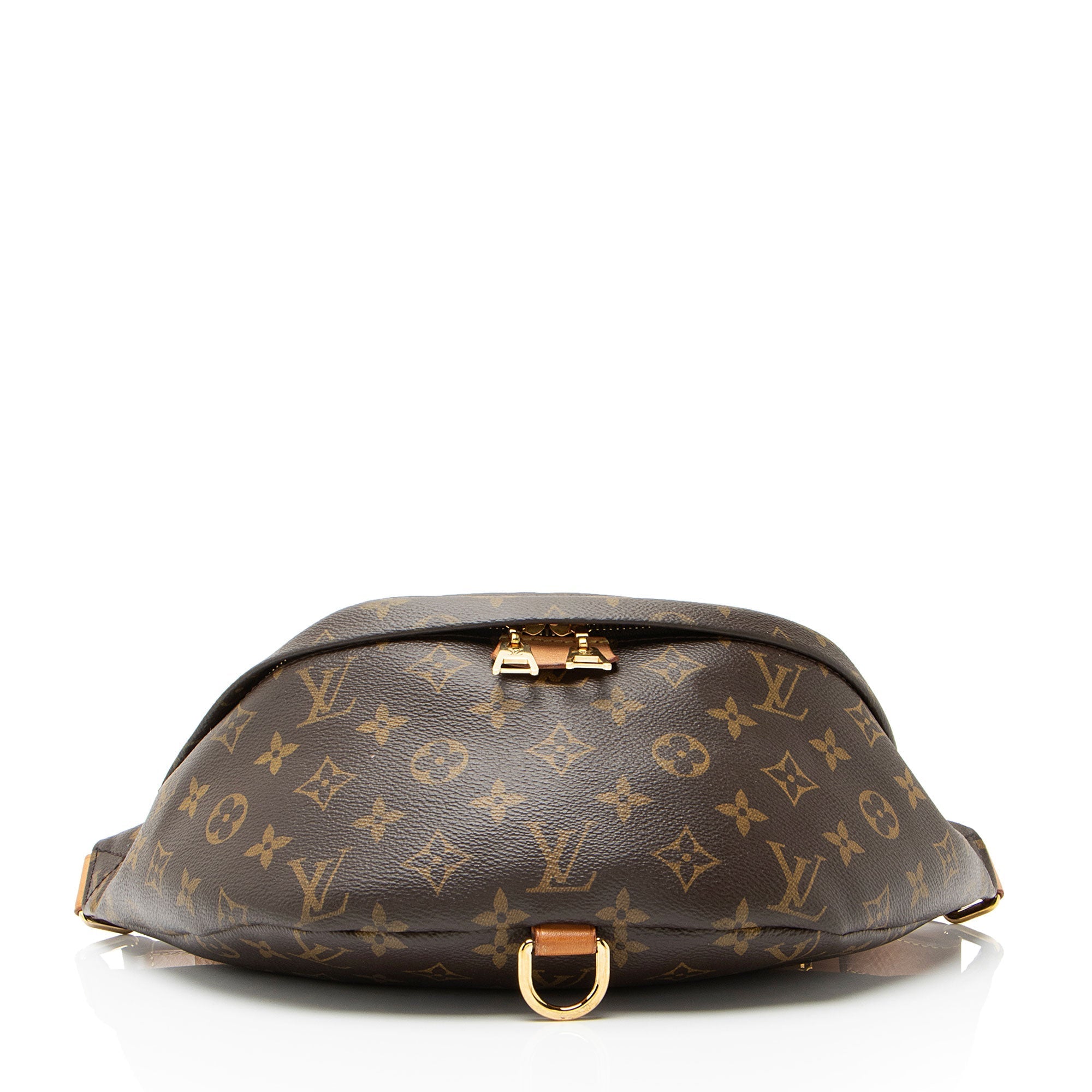 Louis Vuitton Monogram Canvas Bumbag