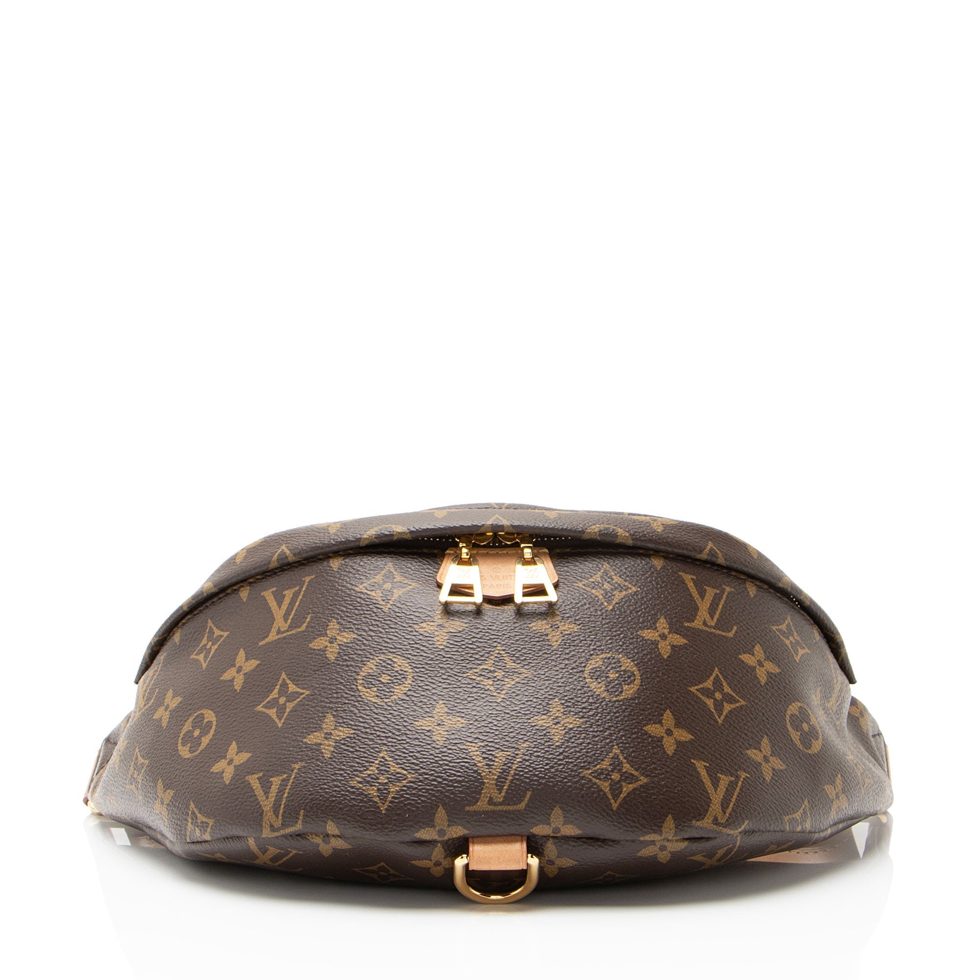 Louis Vuitton Monogram Canvas Bumbag