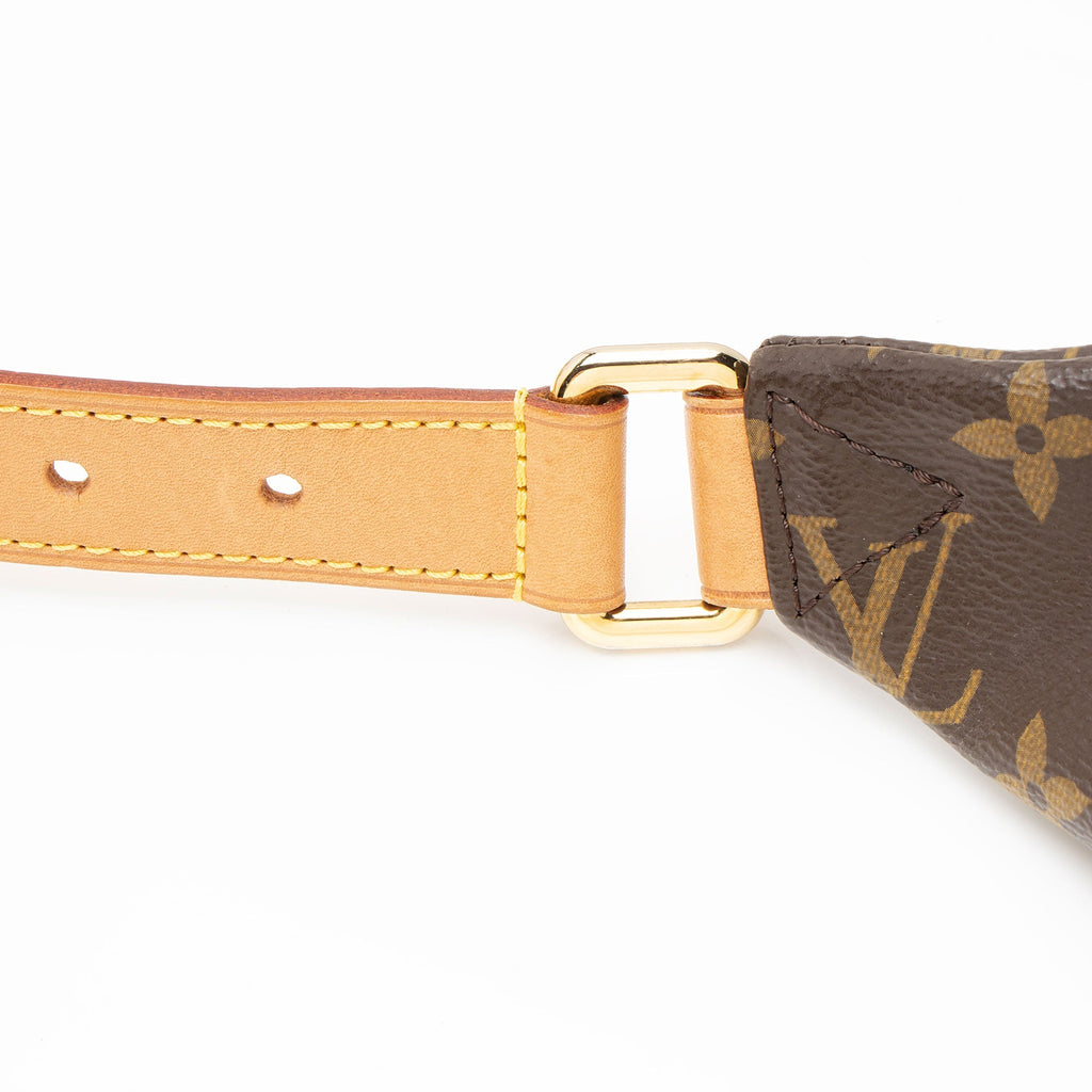 Louis Vuitton Monogram Canvas Bumbag