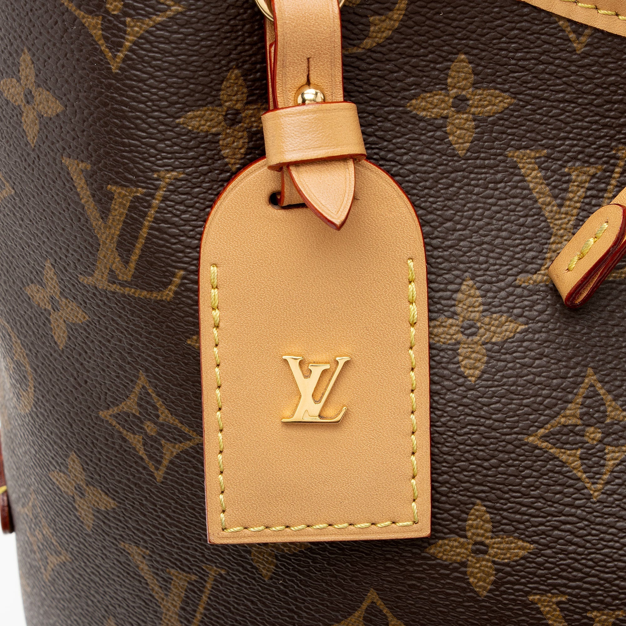 Louis Vuitton Monogram Canvas CarryAll MM Shoulder Bag (SHF-y100jU)