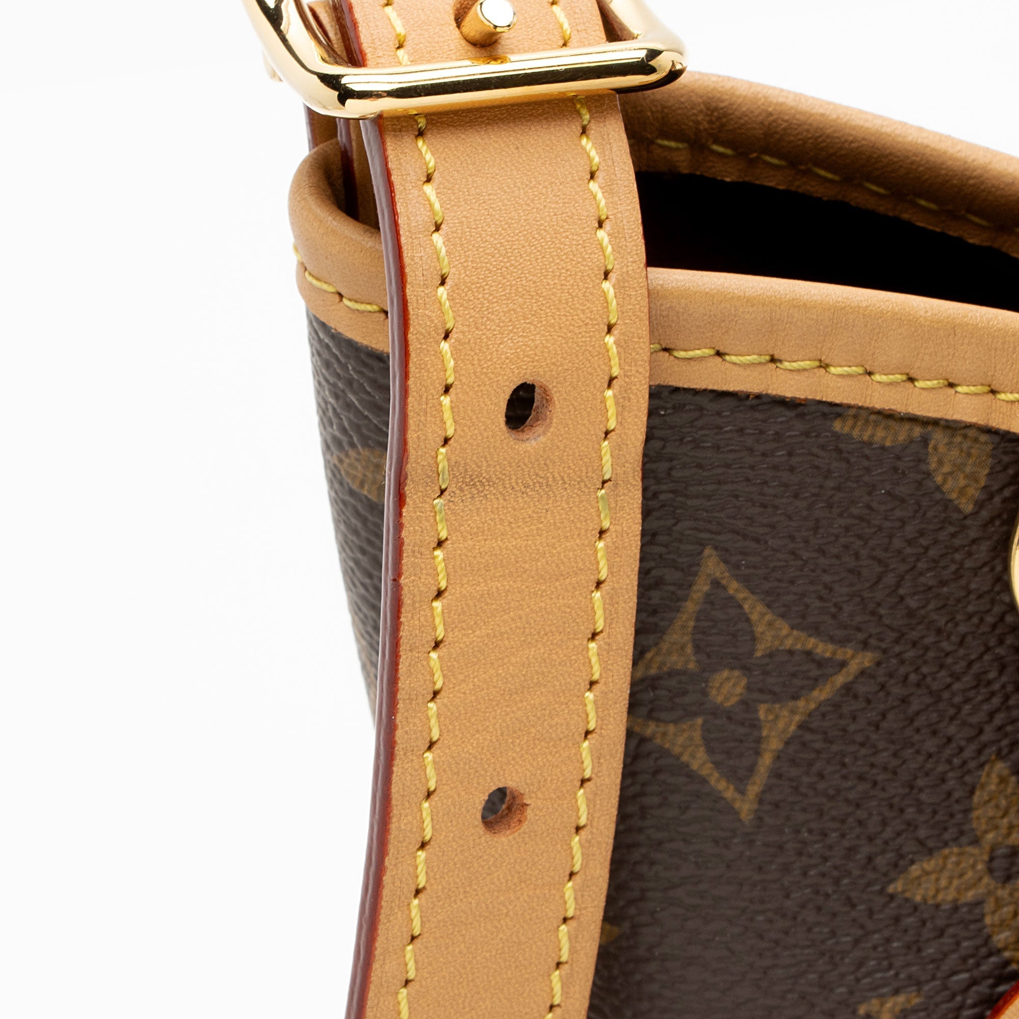 Louis Vuitton Monogram Canvas CarryAll MM Shoulder Bag