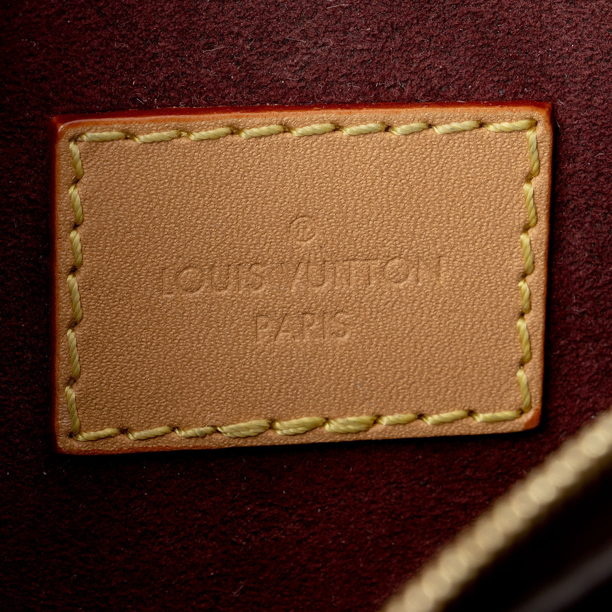 Louis Vuitton Monogram Canvas CarryAll PM Pochette (SHF-WjELNn)