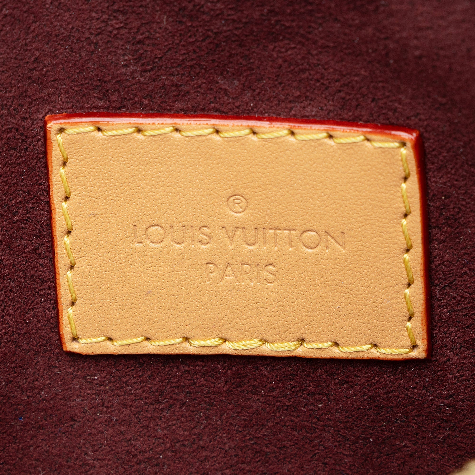 Louis Vuitton Monogram Canvas CarryAll PM Pochette