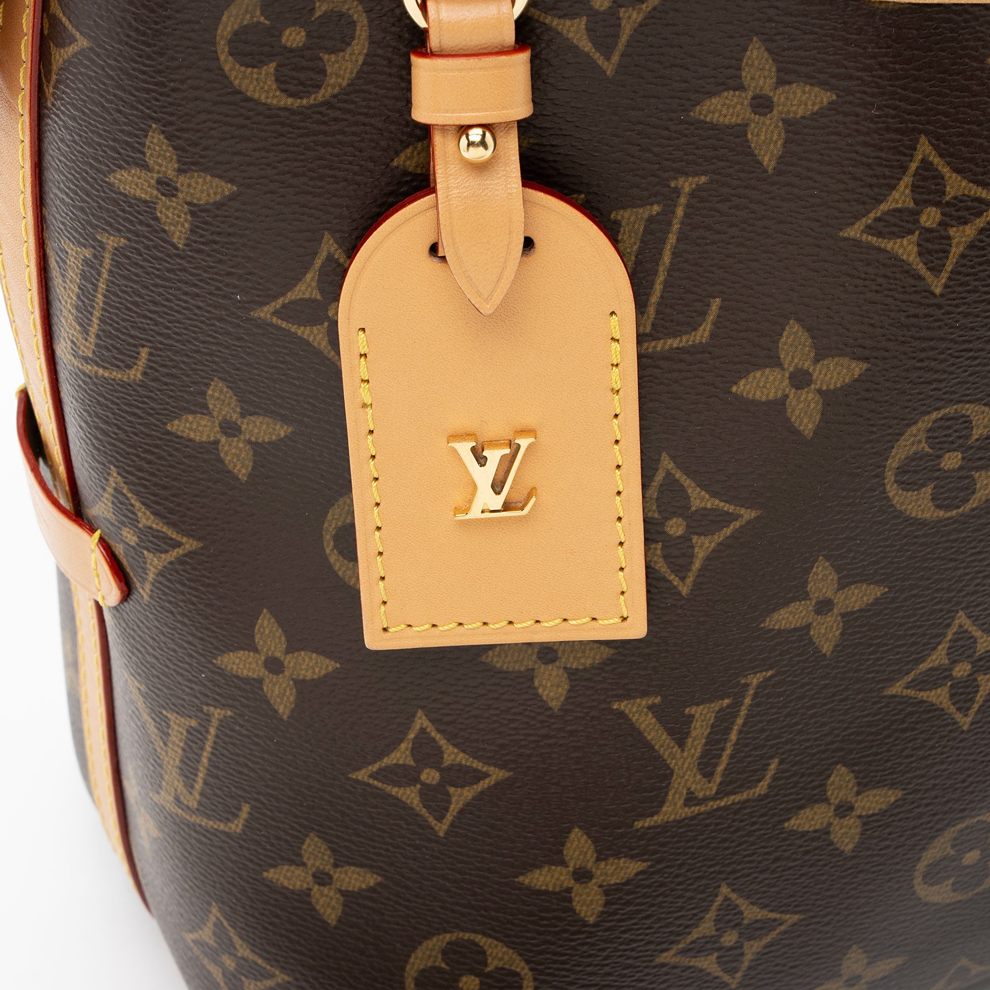 Louis Vuitton Monogram Canvas CarryAll PM Shoulder Bag