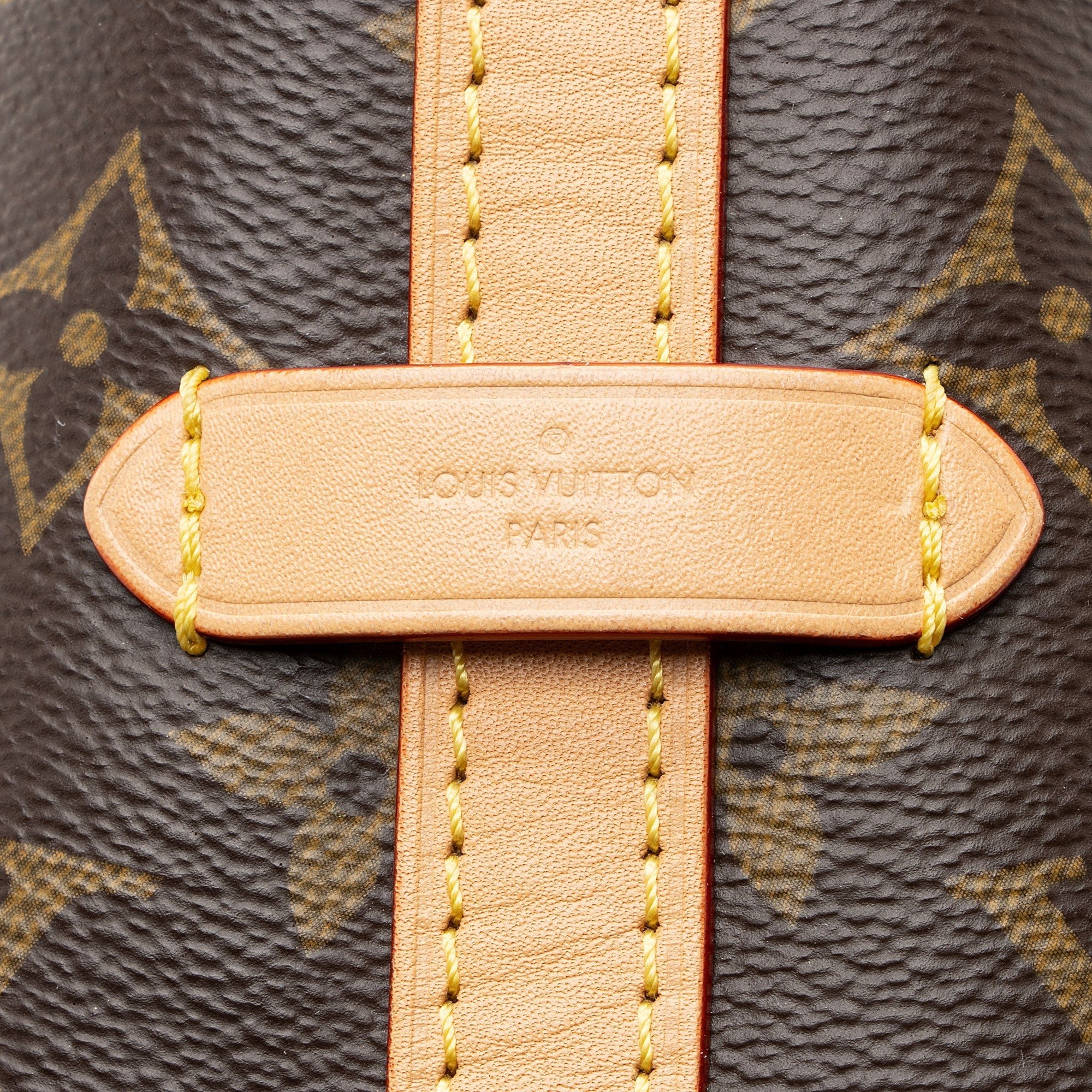 Louis Vuitton Monogram Canvas CarryAll PM Shoulder Bag