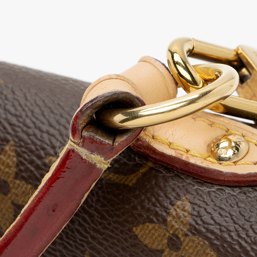 Louis Vuitton Monogram Canvas Cluny MM Satchel (SHF-VMRA4b)