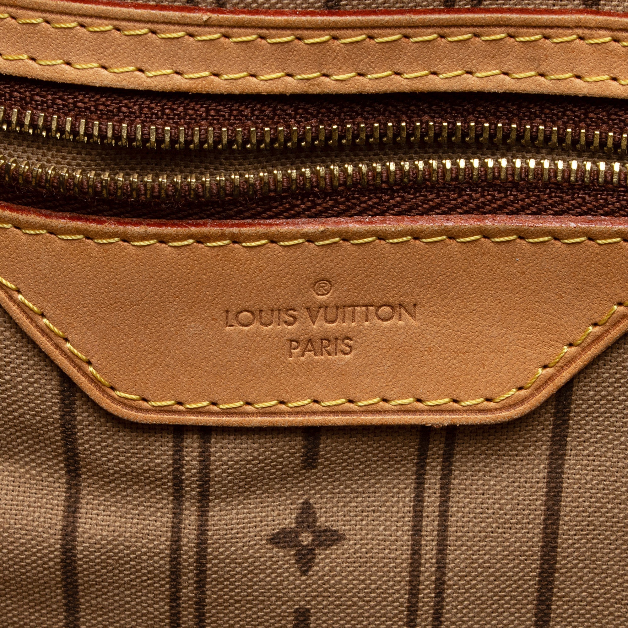 Louis Vuitton Monogram Canvas Delightful GM Shoulder Bag (SHF-fsnong)