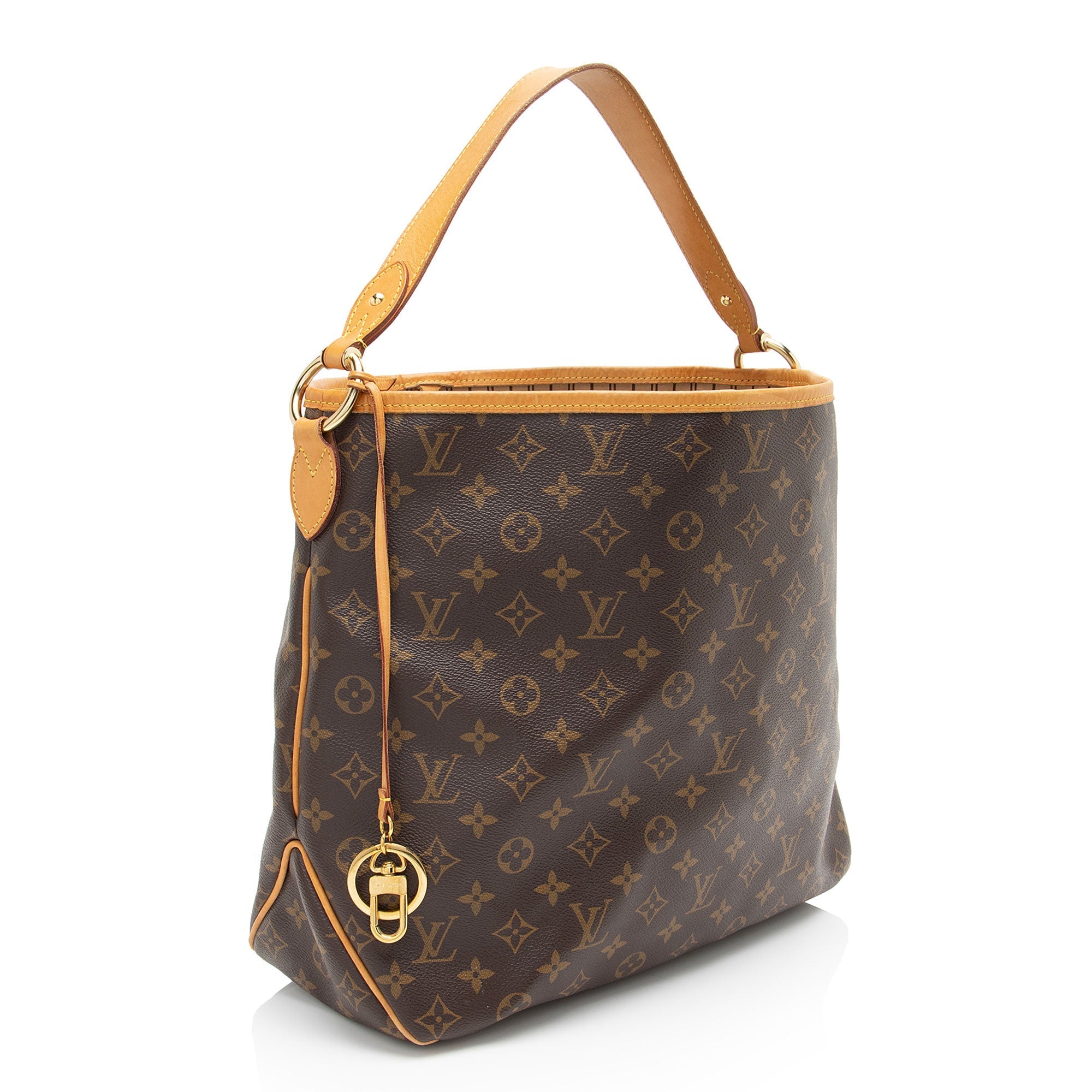 Louis Vuitton Monogram Canvas Delightful MM Shoulder Bag