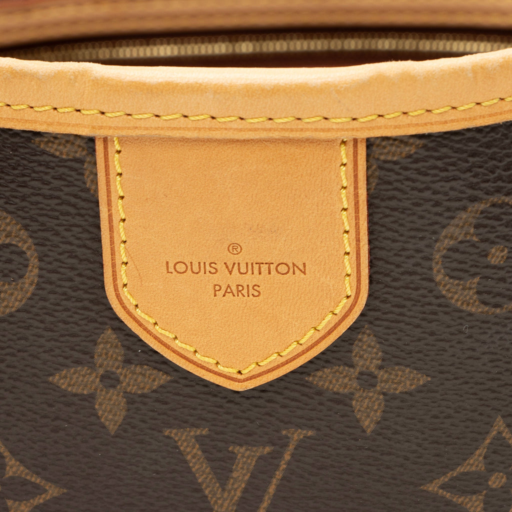 Louis Vuitton Monogram Canvas Delightful MM Shoulder Bag