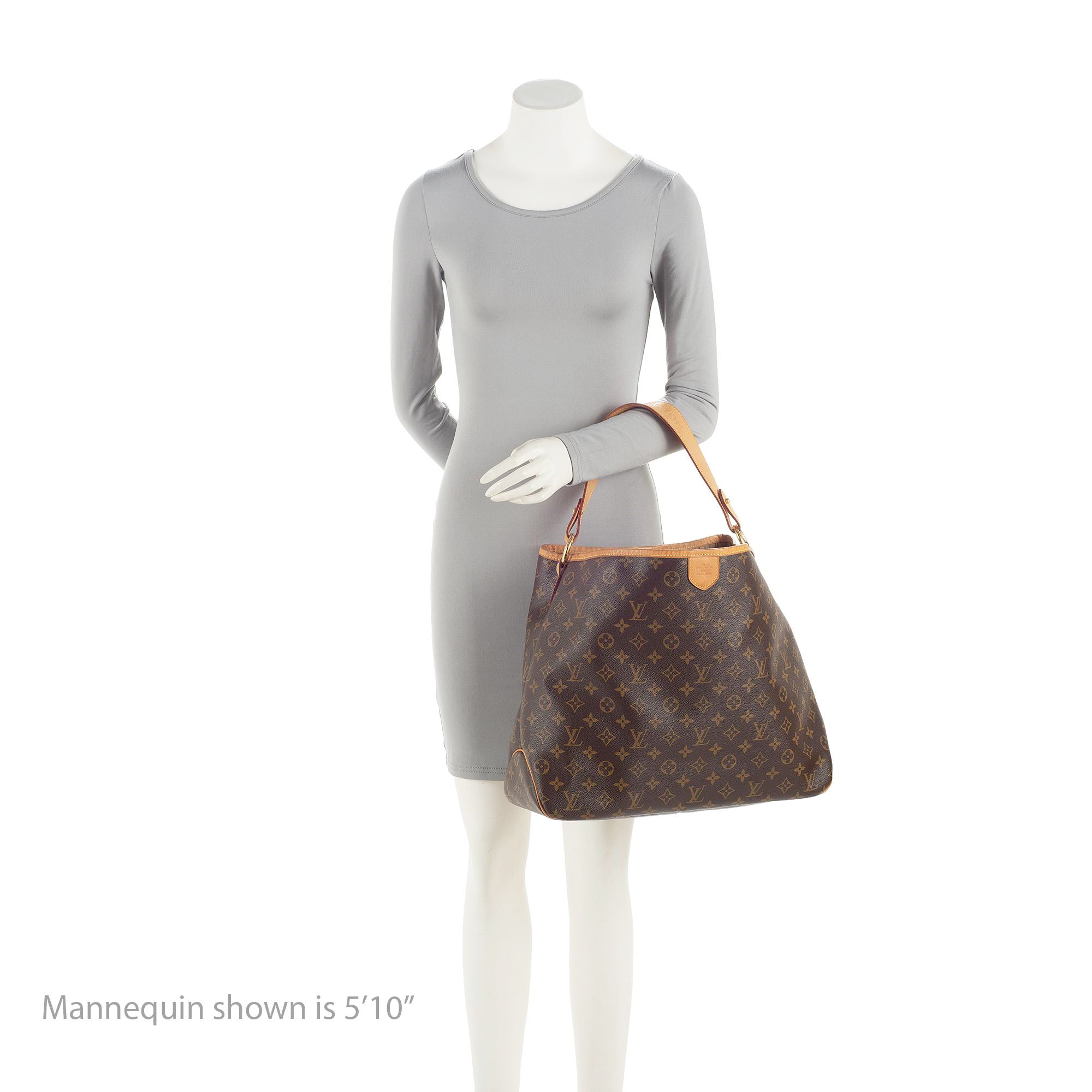 Louis Vuitton Monogram Canvas Delightful MM Shoulder Bag