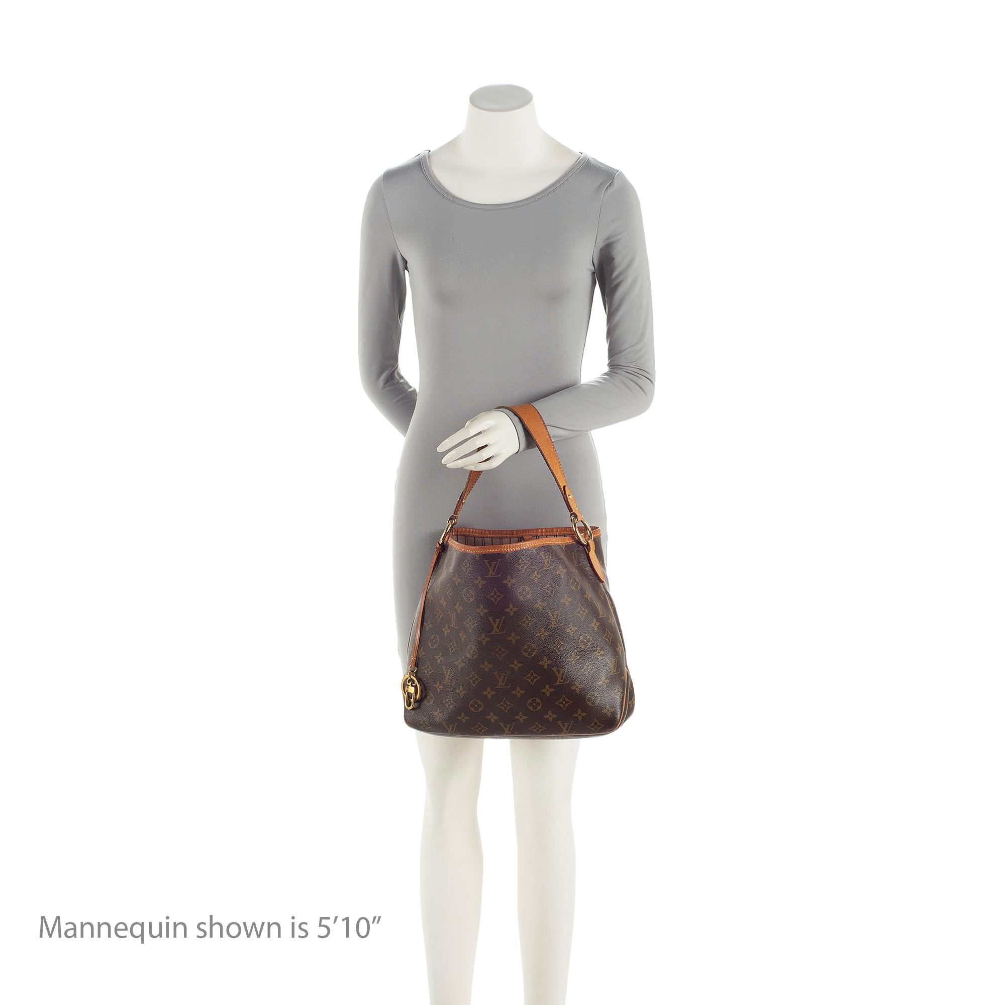 Louis Vuitton Monogram Canvas Delightful PM Shoulder Bag (SHF-ZZzG6J)
