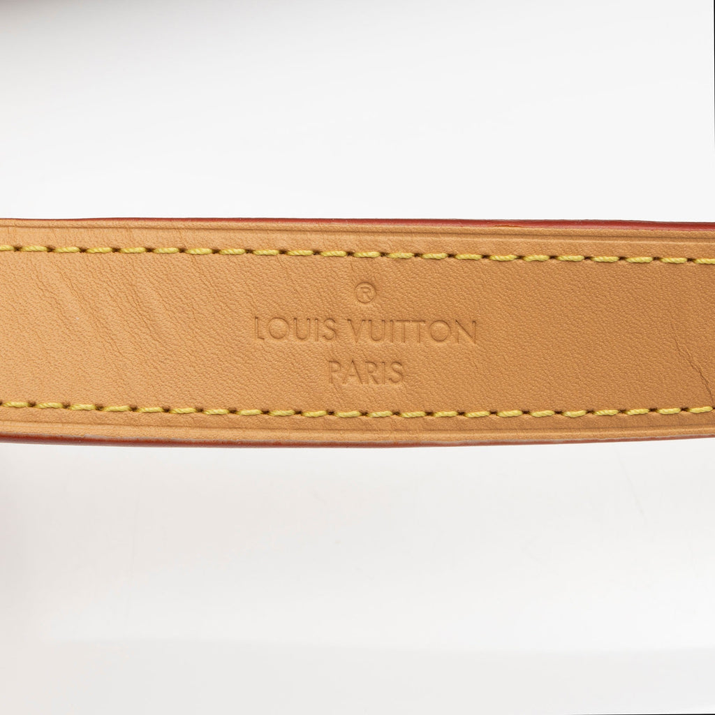 Louis Vuitton Monogram Canvas Diane Satchel (SHF-JjGyWF)