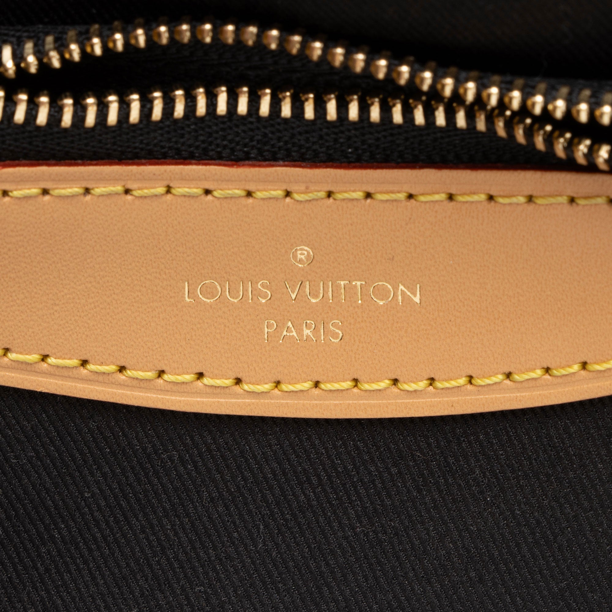 Louis Vuitton Monogram Canvas Diane Satchel (SHF-J5MK2f)