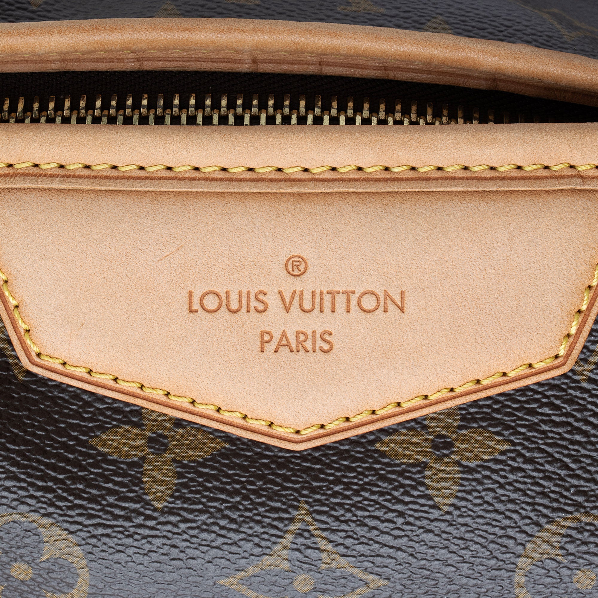 Louis Vuitton Monogram Canvas Estrela MM Tote (SHF-BnpLVf)