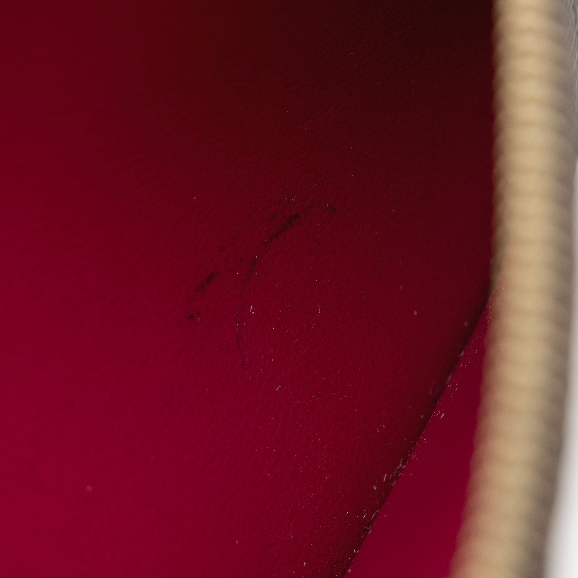 Louis Vuitton Monogram Canvas Felicie Insert (SHF-YcAi3f)