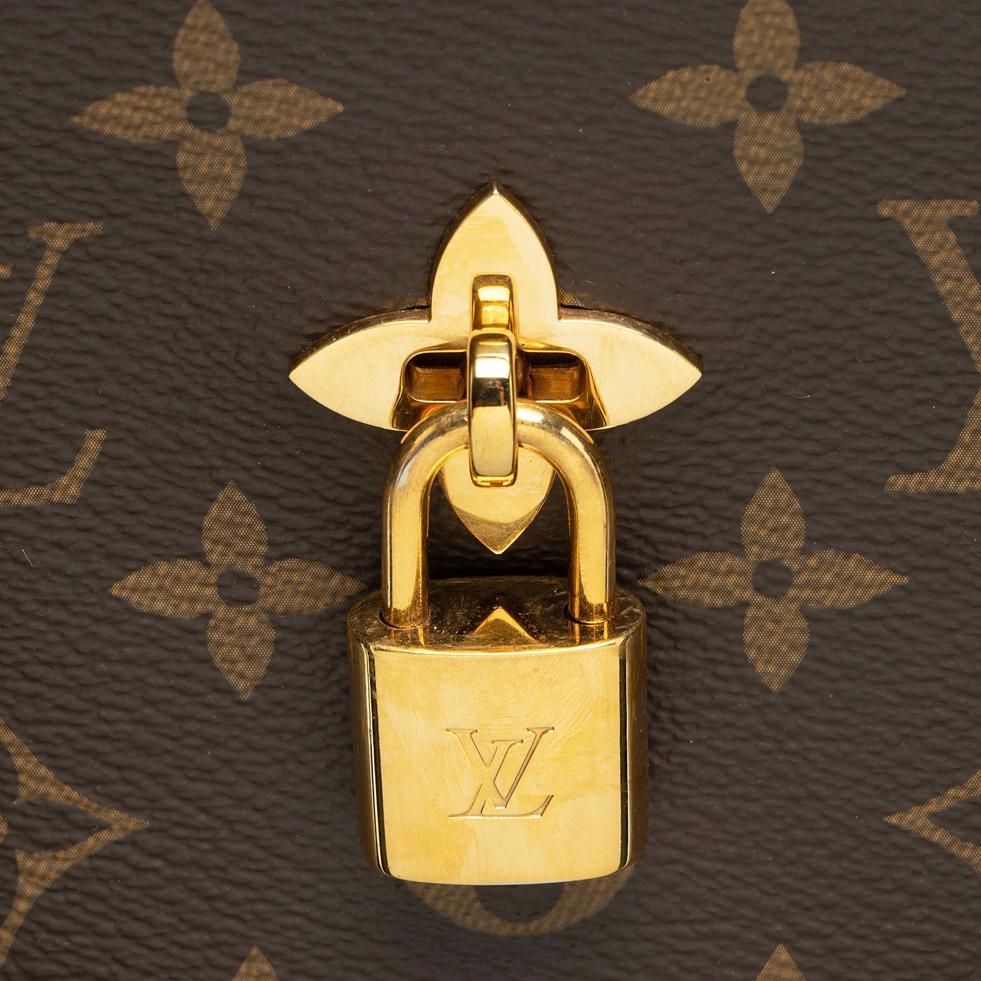 Louis Vuitton Monogram Canvas Flower Tote