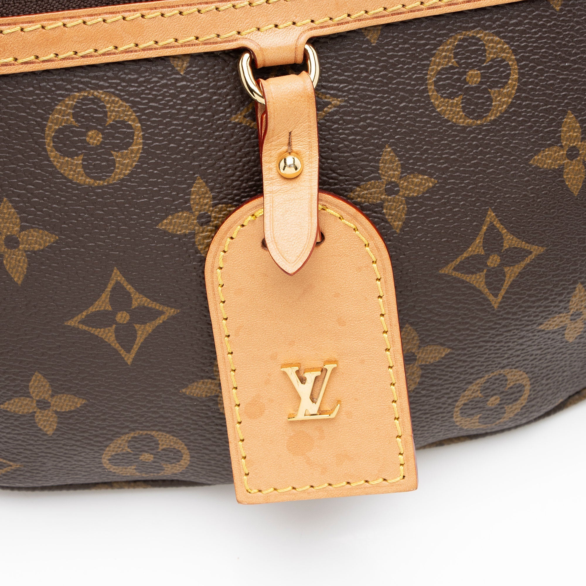 Louis Vuitton Monogram Canvas High Rise Bumbag