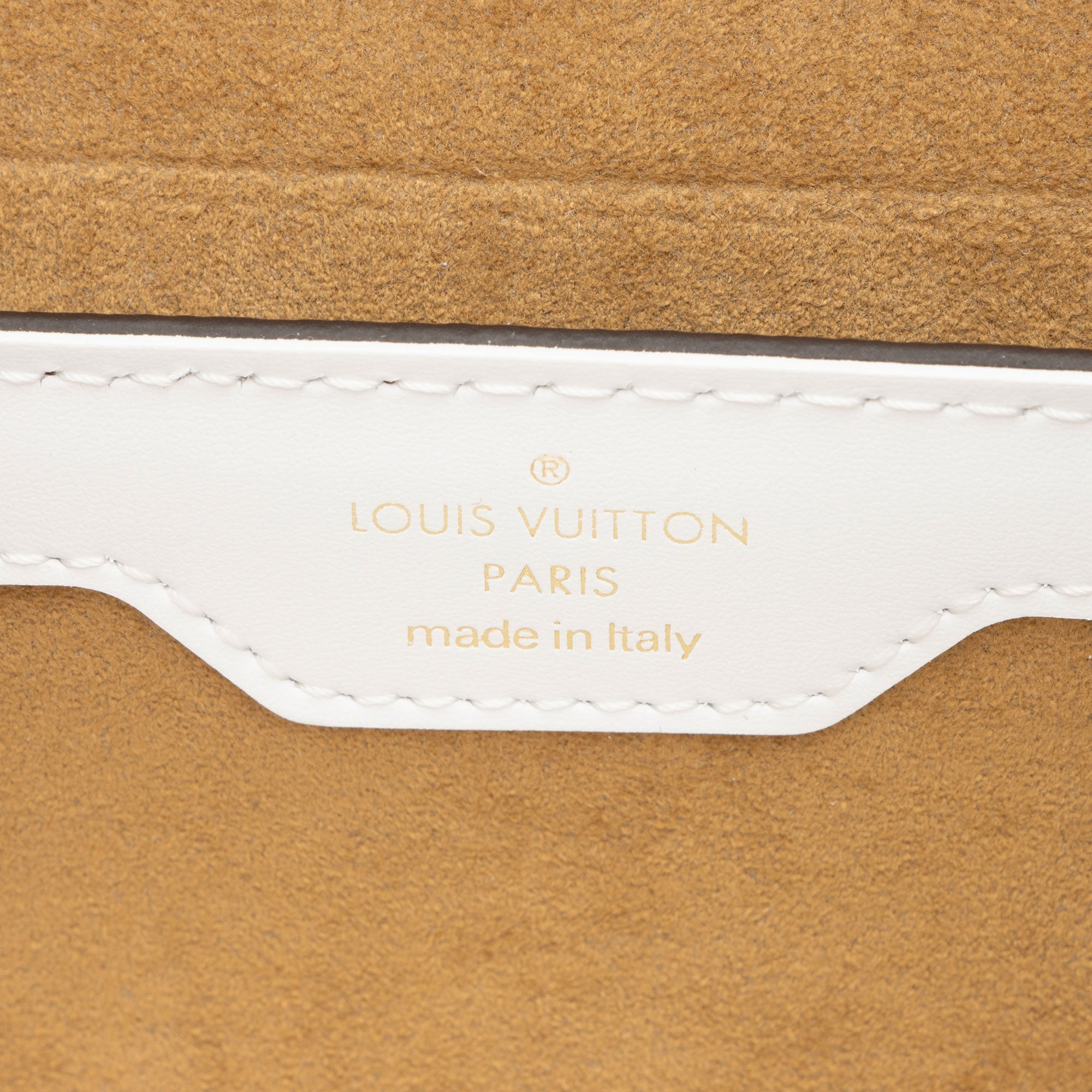 Louis Vuitton Monogram Canvas LV Match Papillon Trunk Bag (SHF-5Z0kV1)