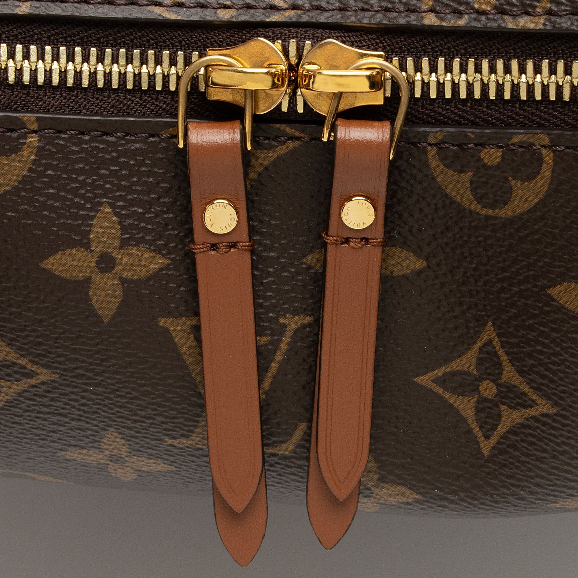 Louis Vuitton Monogram Canvas Loop Hobo (SHF-zQdEe4)