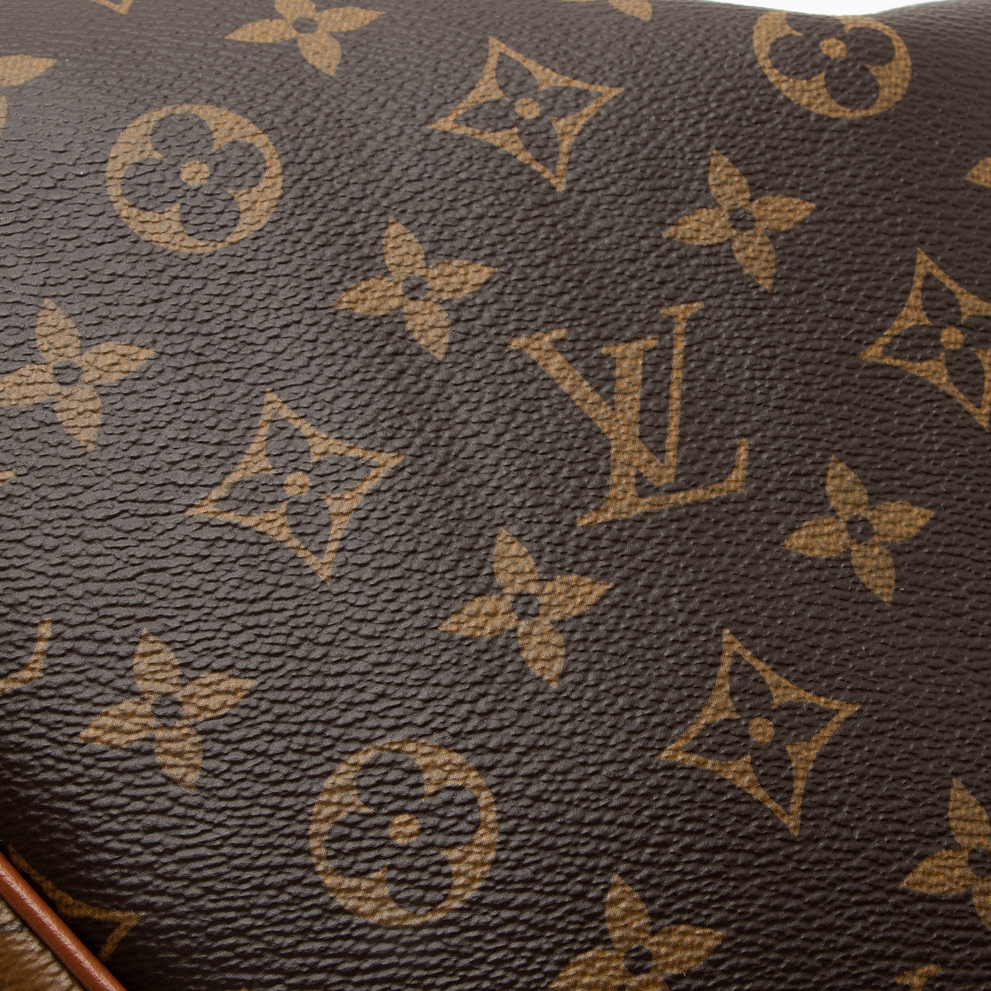Louis Vuitton Monogram Canvas Loop Hobo (SHF-zQdEe4)