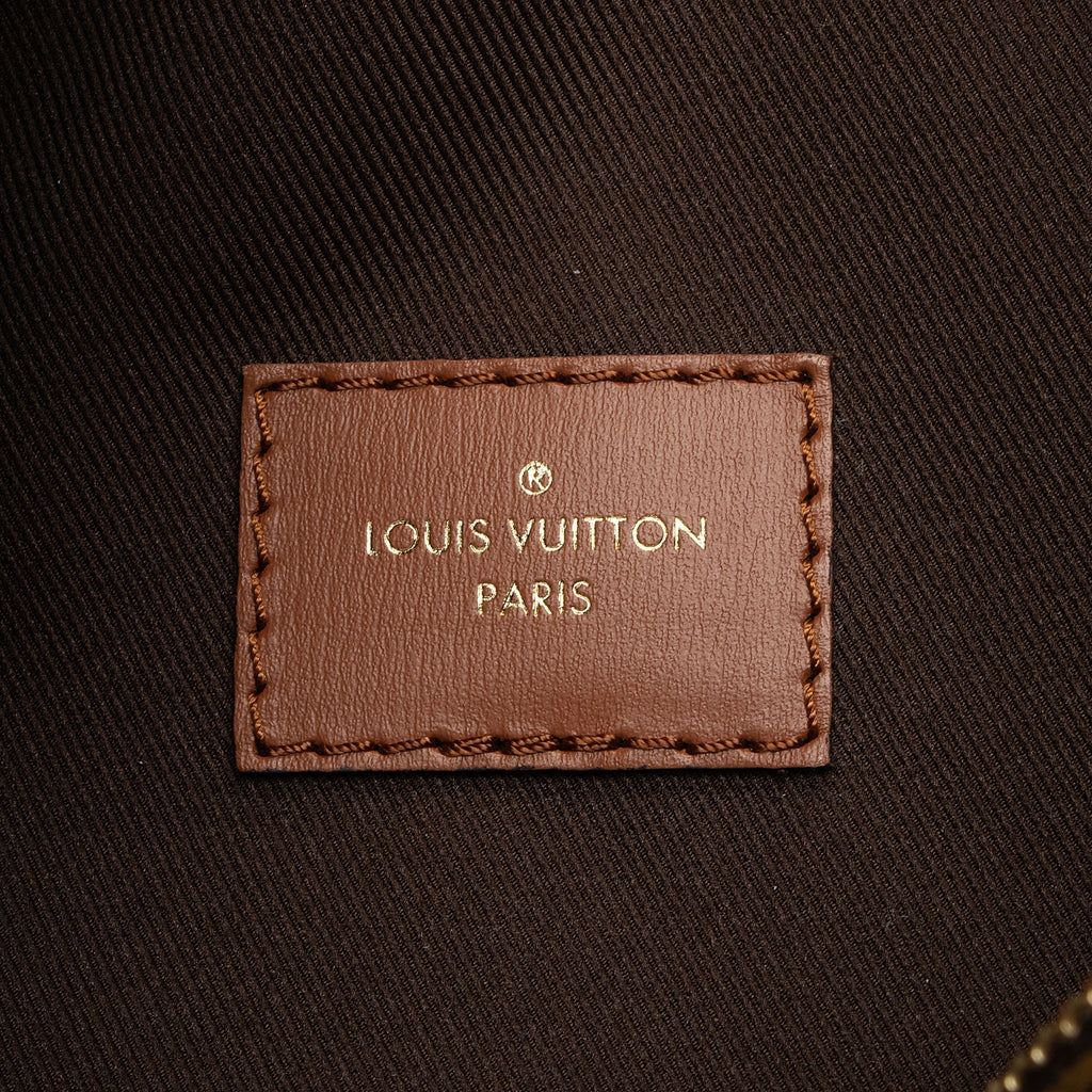 Louis Vuitton Monogram Canvas Loop Hobo (SHF-wexBck)