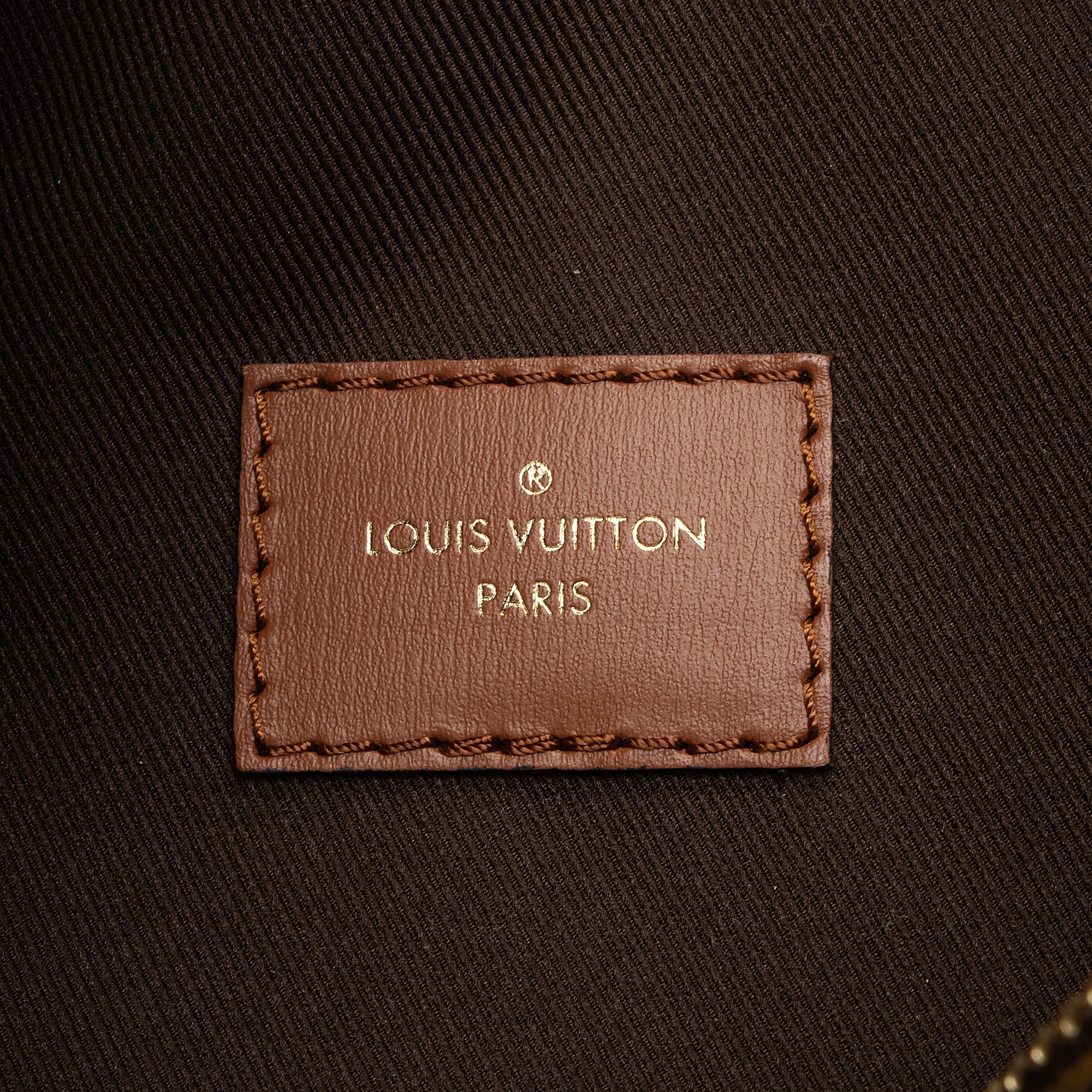 Louis Vuitton Monogram Canvas Loop Hobo (SHF-wexBck)