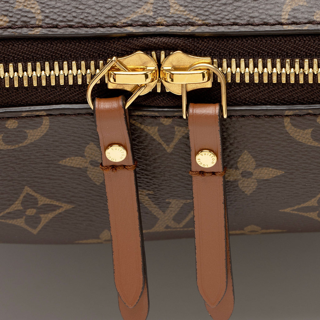 Louis Vuitton Monogram Canvas Loop Hobo (SHF-R02ZNT)