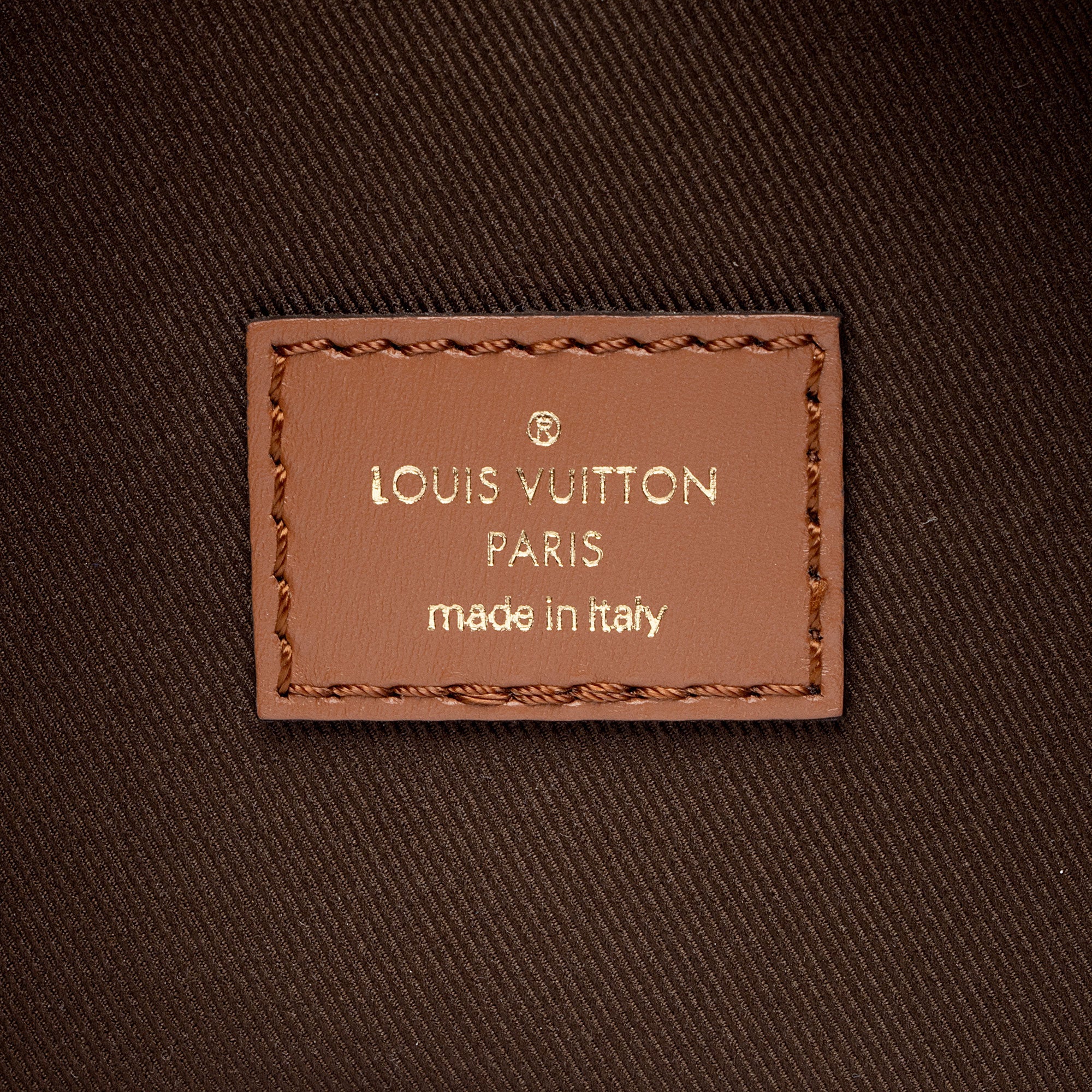Louis Vuitton Monogram Canvas Loop Hobo (SHF-R02ZNT)