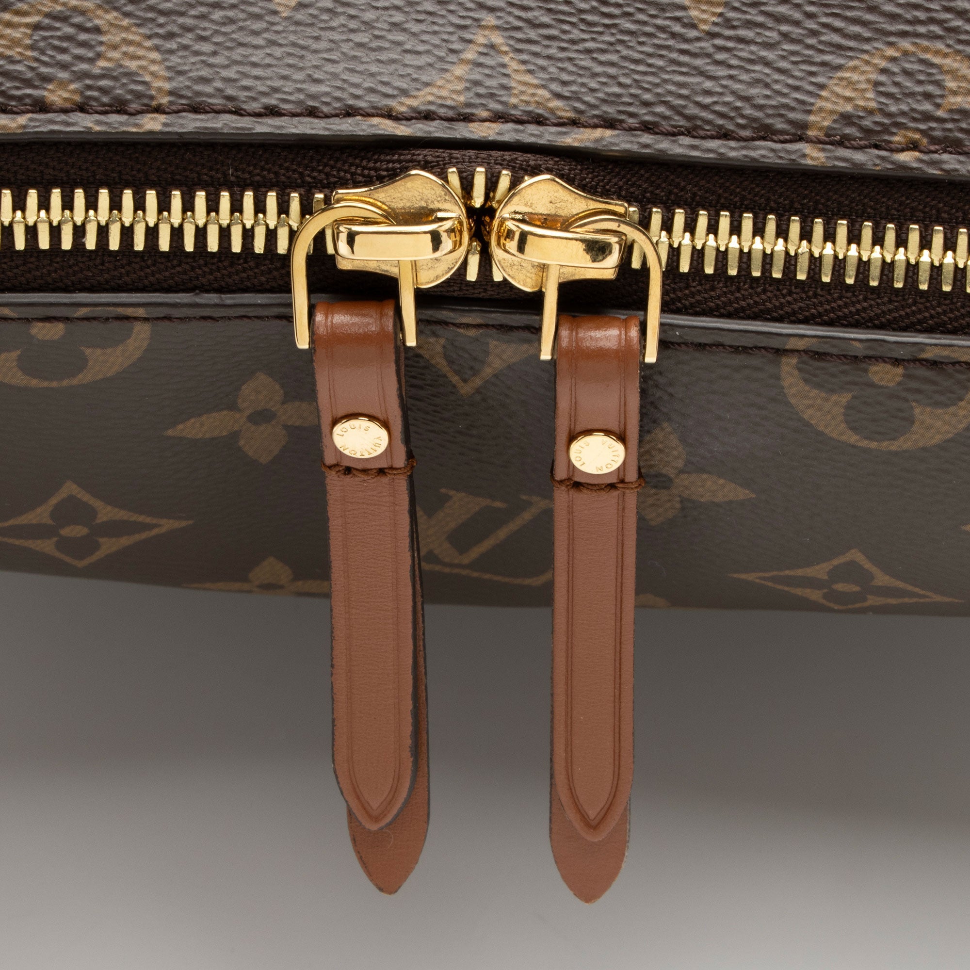 Louis Vuitton Monogram Canvas Loop Hobo (SHF-PKy8bn)