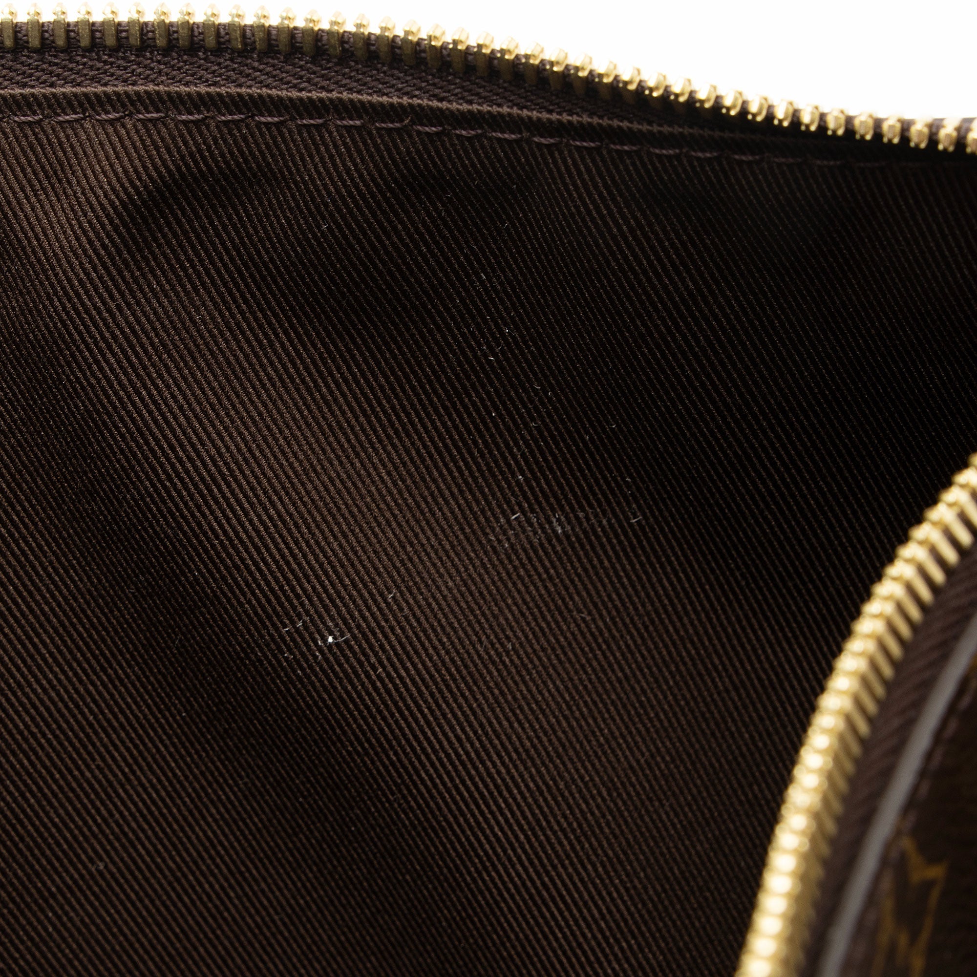 Louis Vuitton Monogram Canvas Loop Hobo (SHF-PKy8bn)