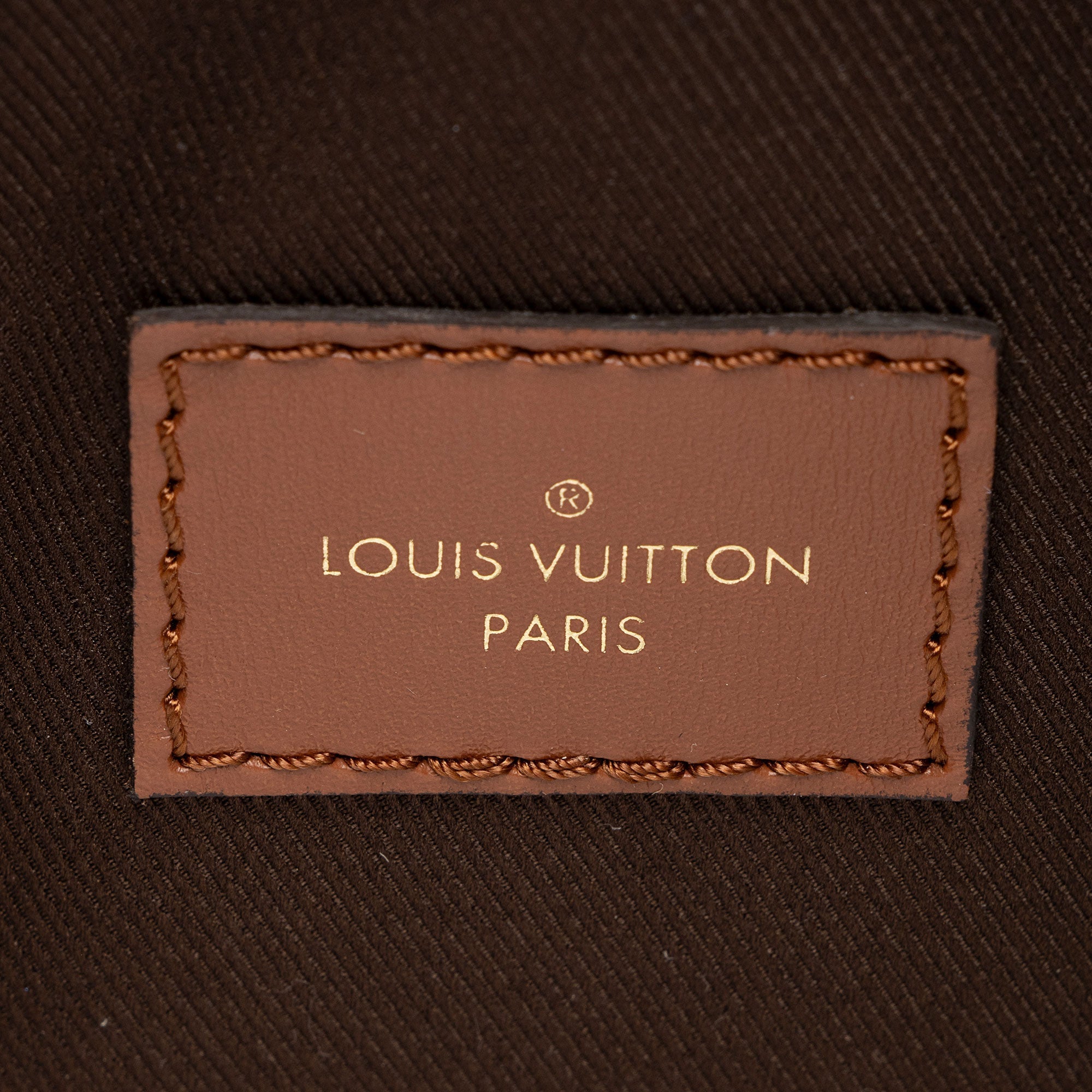 Louis Vuitton Monogram Canvas Loop Hobo (SHF-PKy8bn)