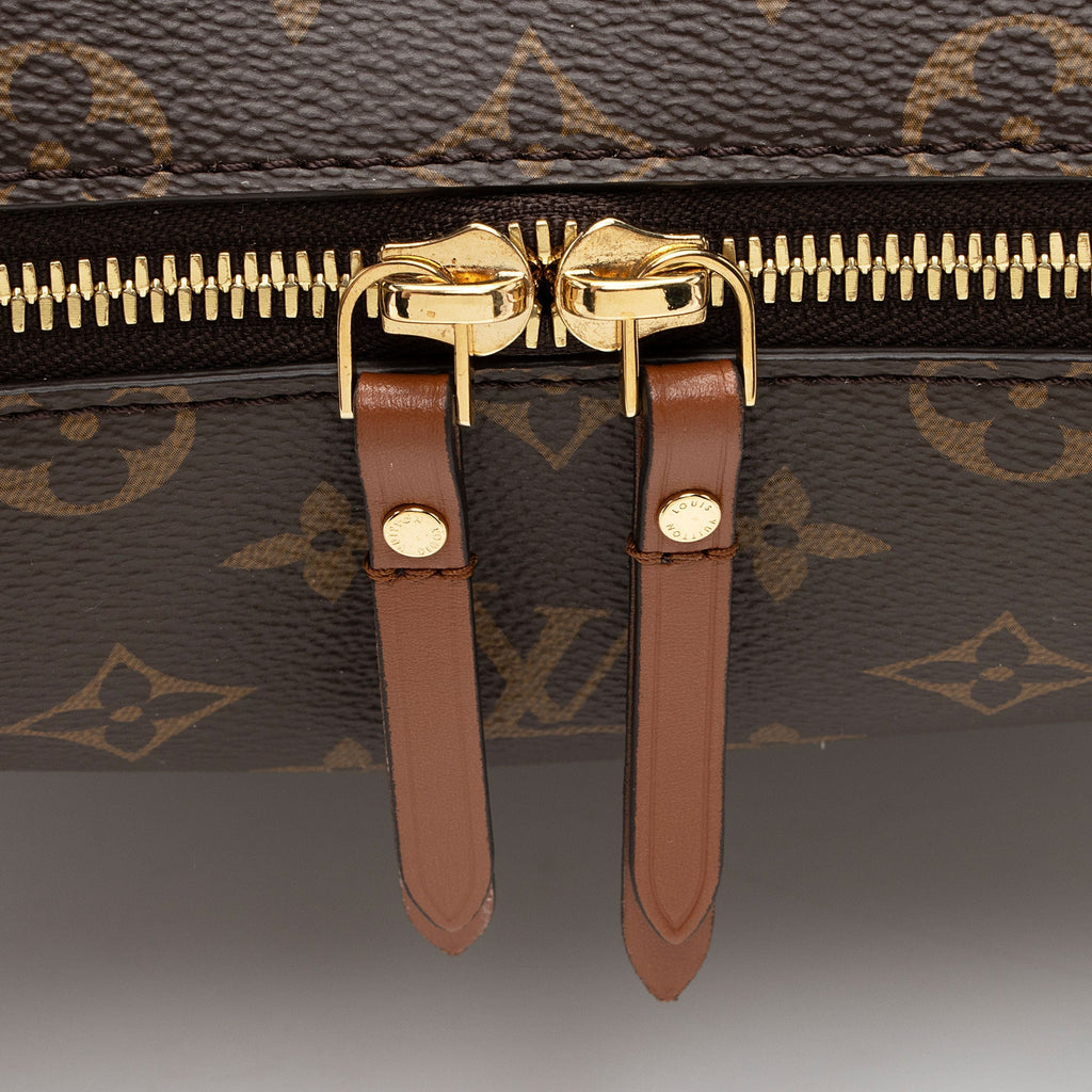 Louis Vuitton Monogram Canvas Loop Hobo