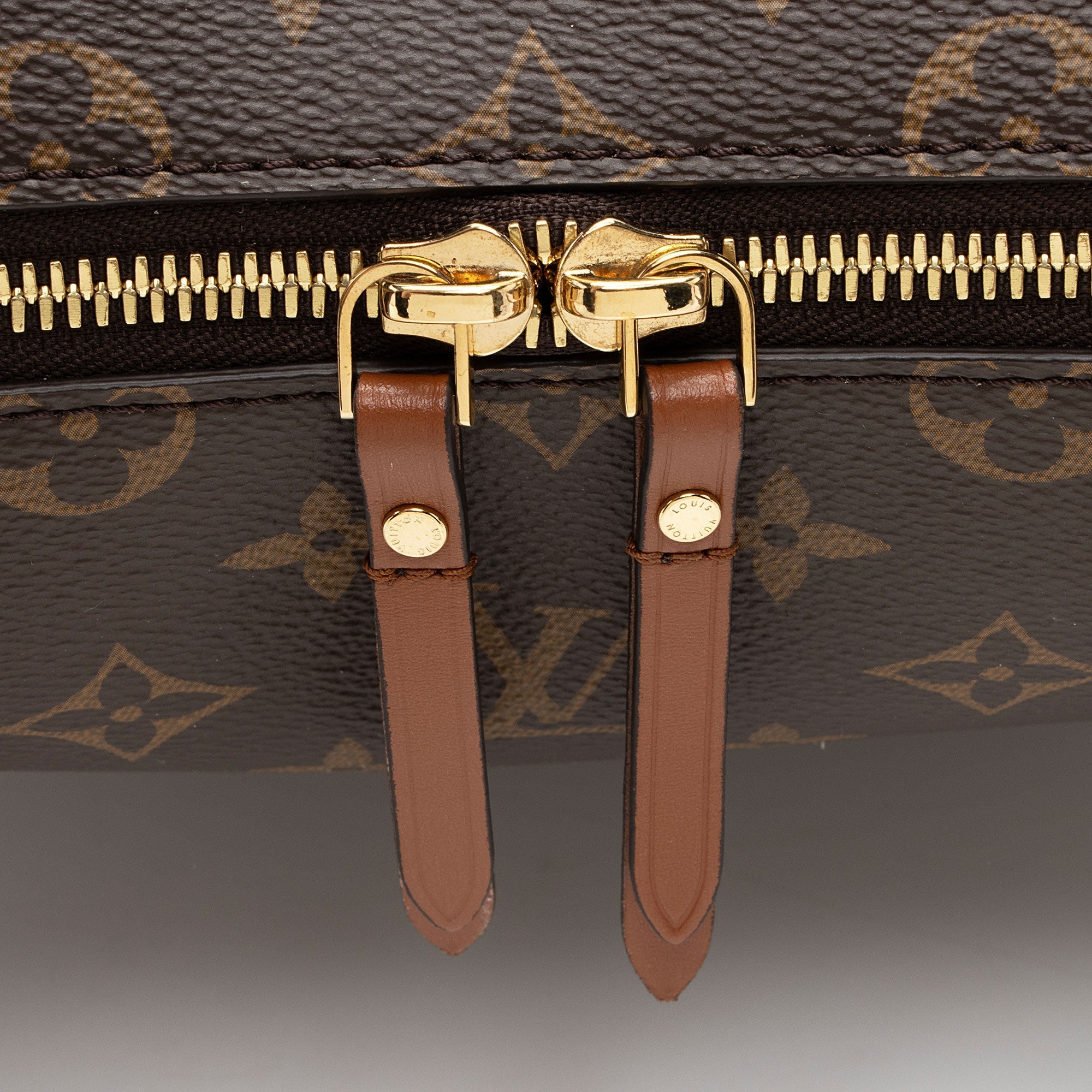 Louis Vuitton Monogram Canvas Loop Hobo