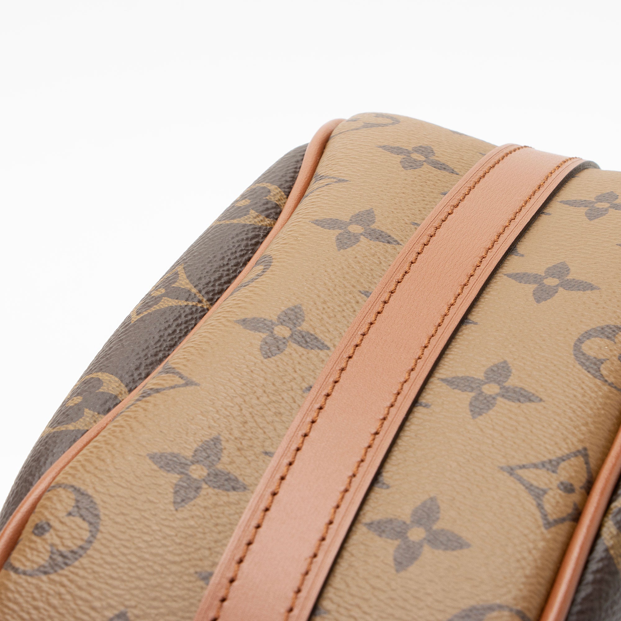 Louis Vuitton Monogram Canvas Loop Hobo