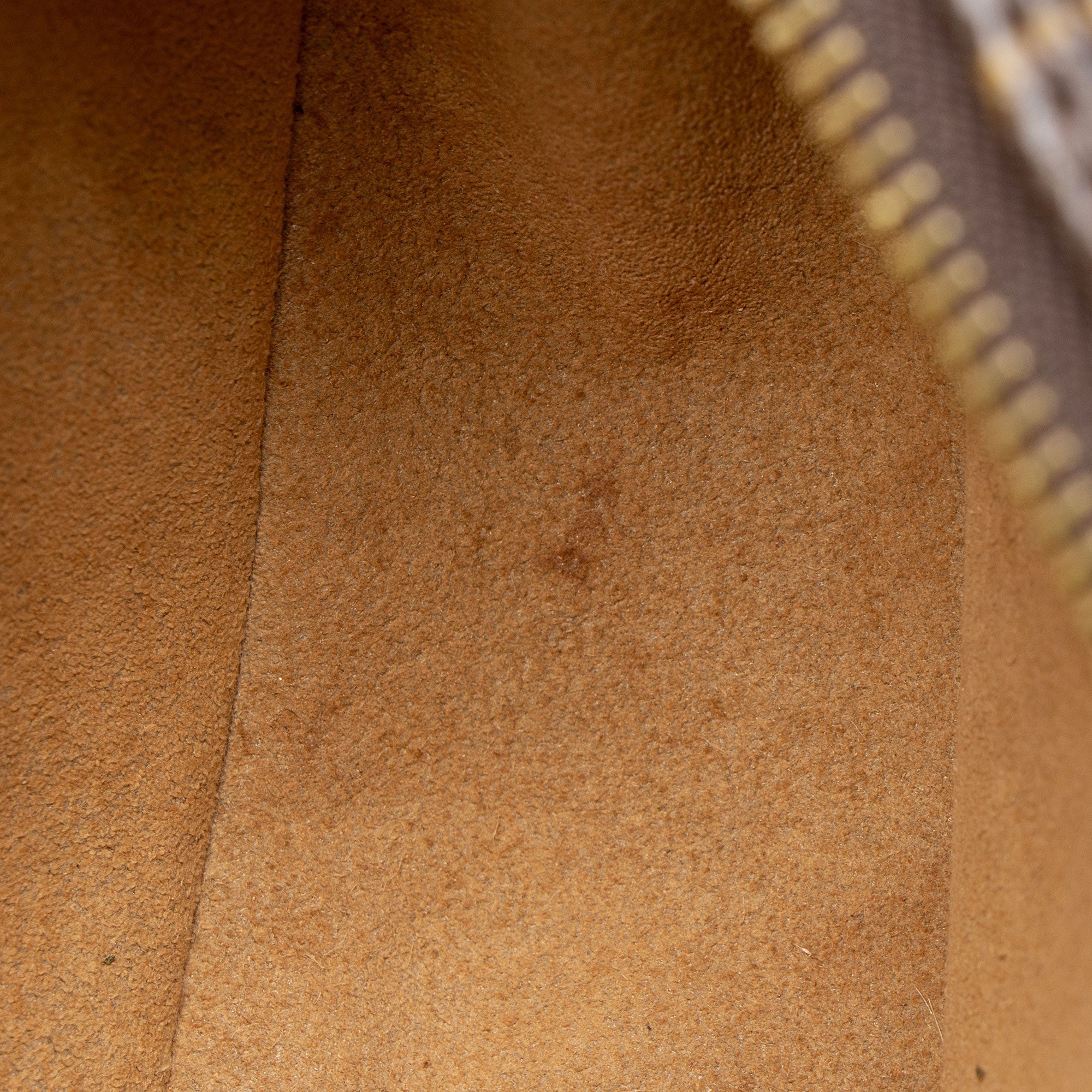 Louis Vuitton Monogram Canvas Loop Shoulder Bag