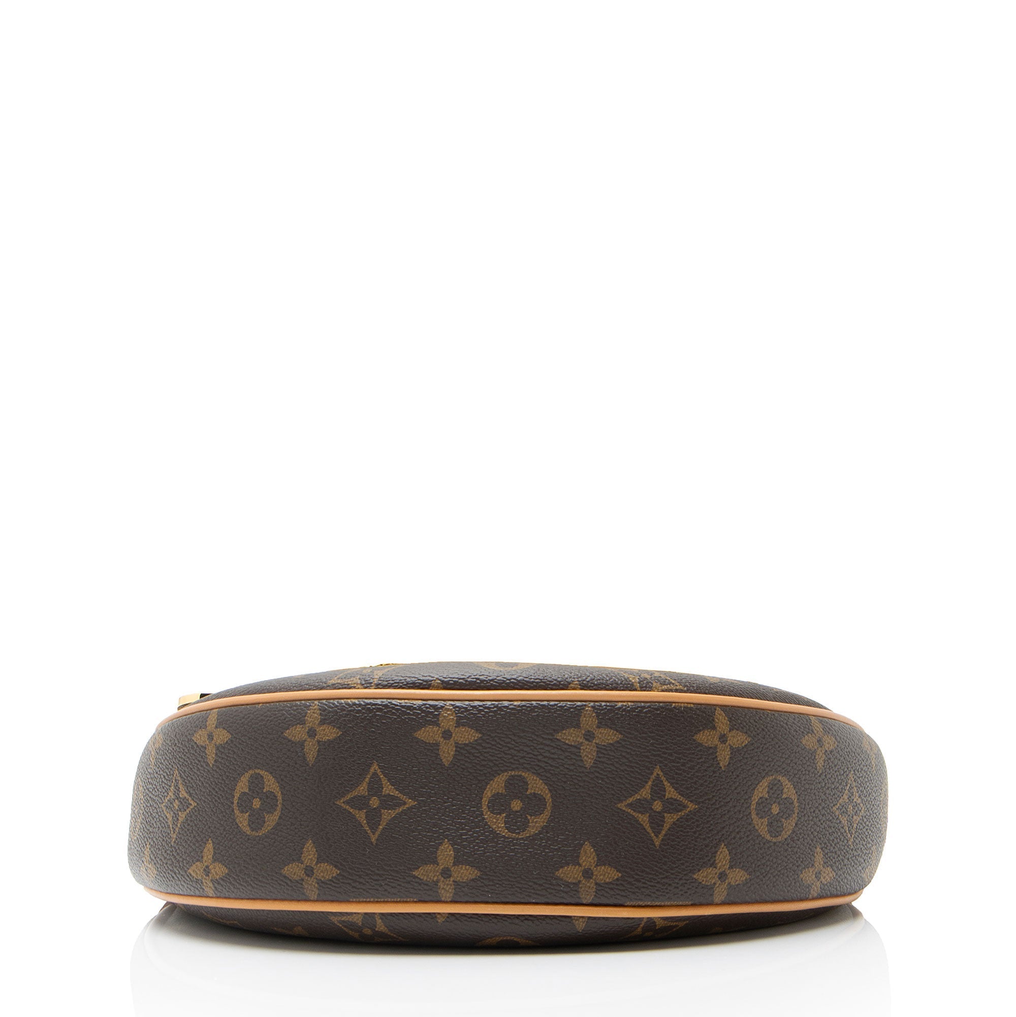 Louis Vuitton Monogram Canvas Loop Shoulder Bag