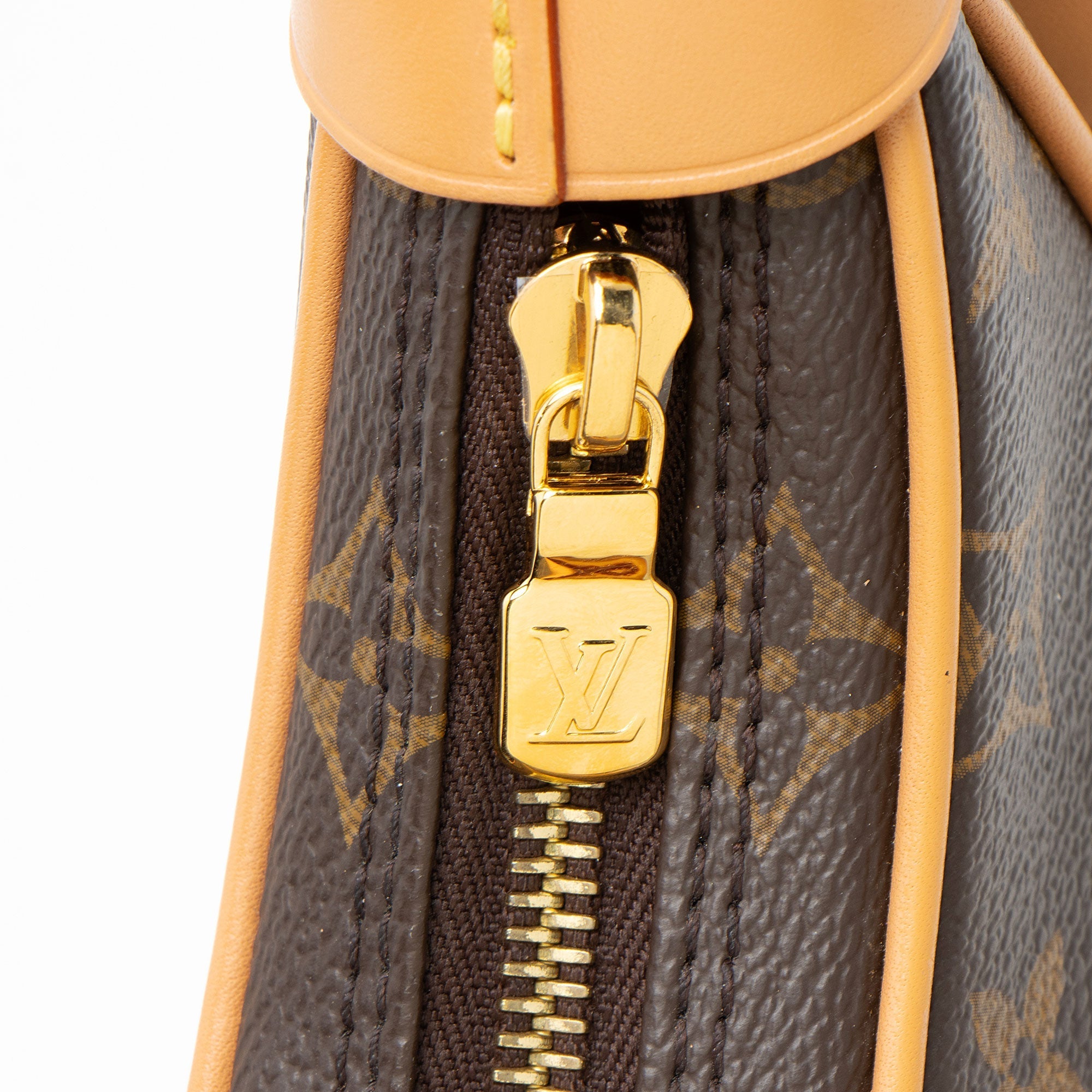 Louis Vuitton Monogram Canvas Loop Shoulder Bag