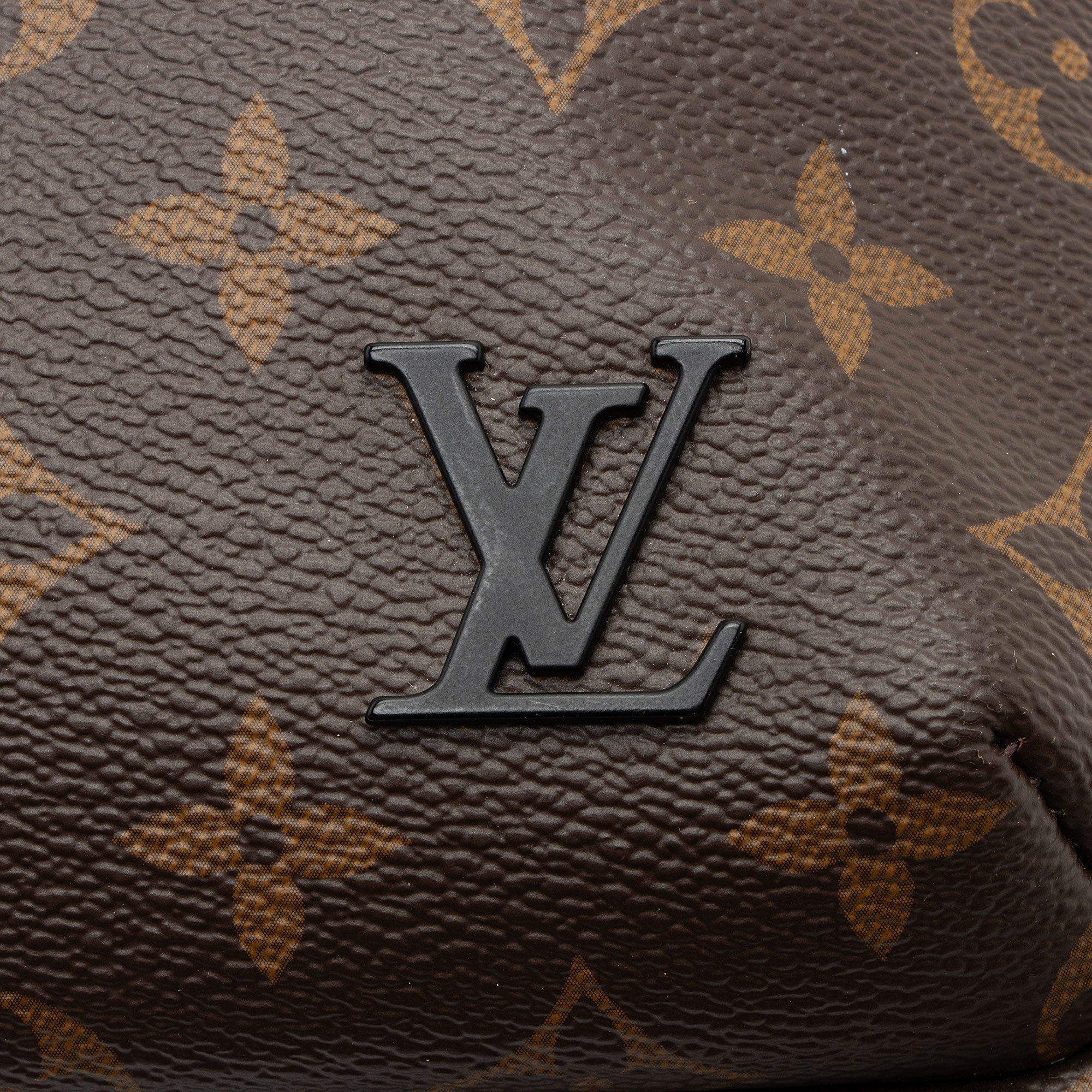 Louis Vuitton Monogram Canvas Macassar Avenue NM Sling Bag