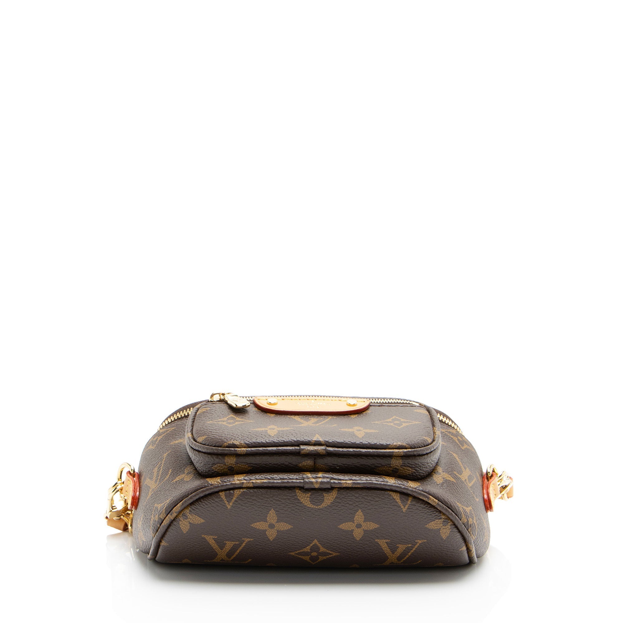 Louis Vuitton Monogram Canvas Mini Bumbag