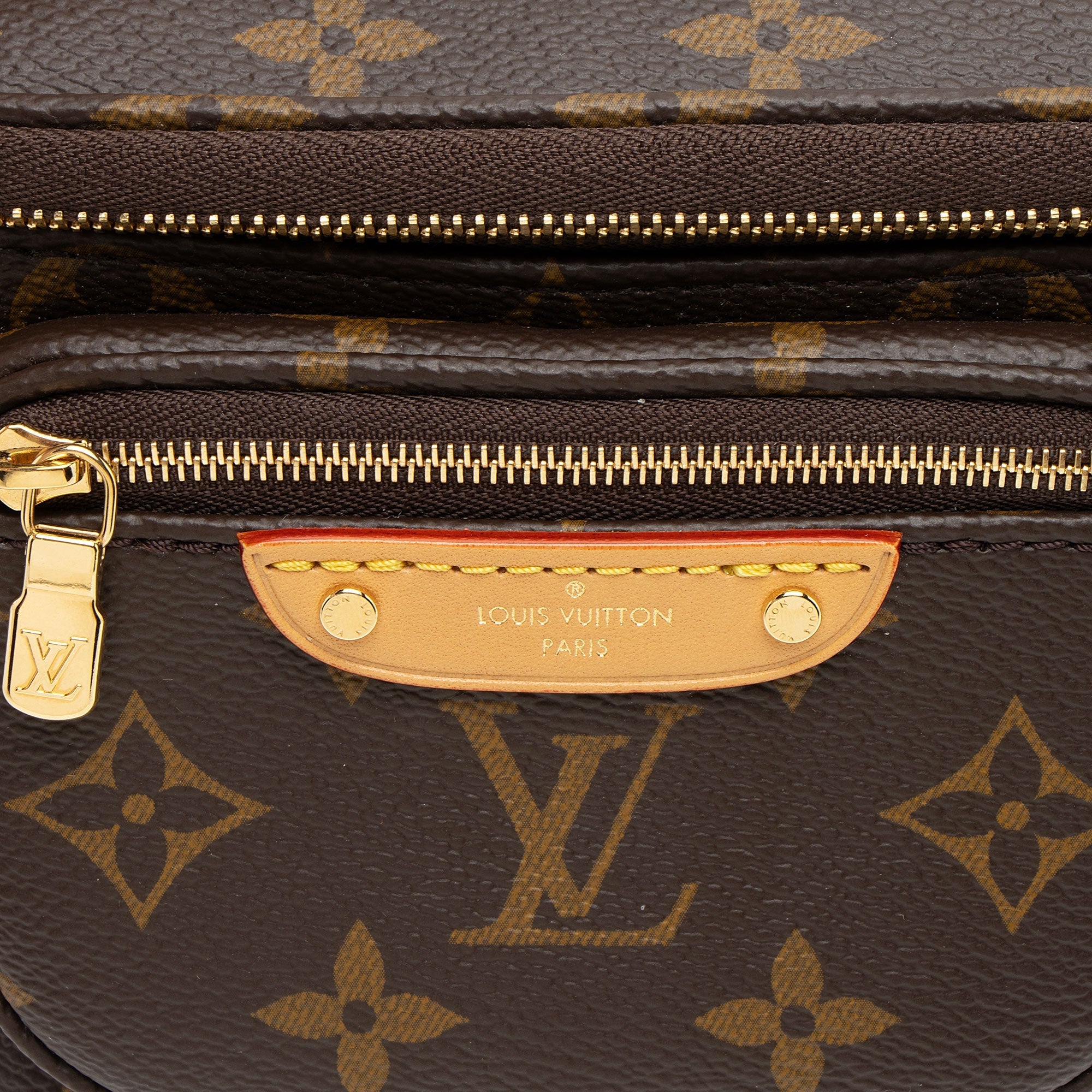Louis Vuitton Monogram Canvas Mini Bumbag
