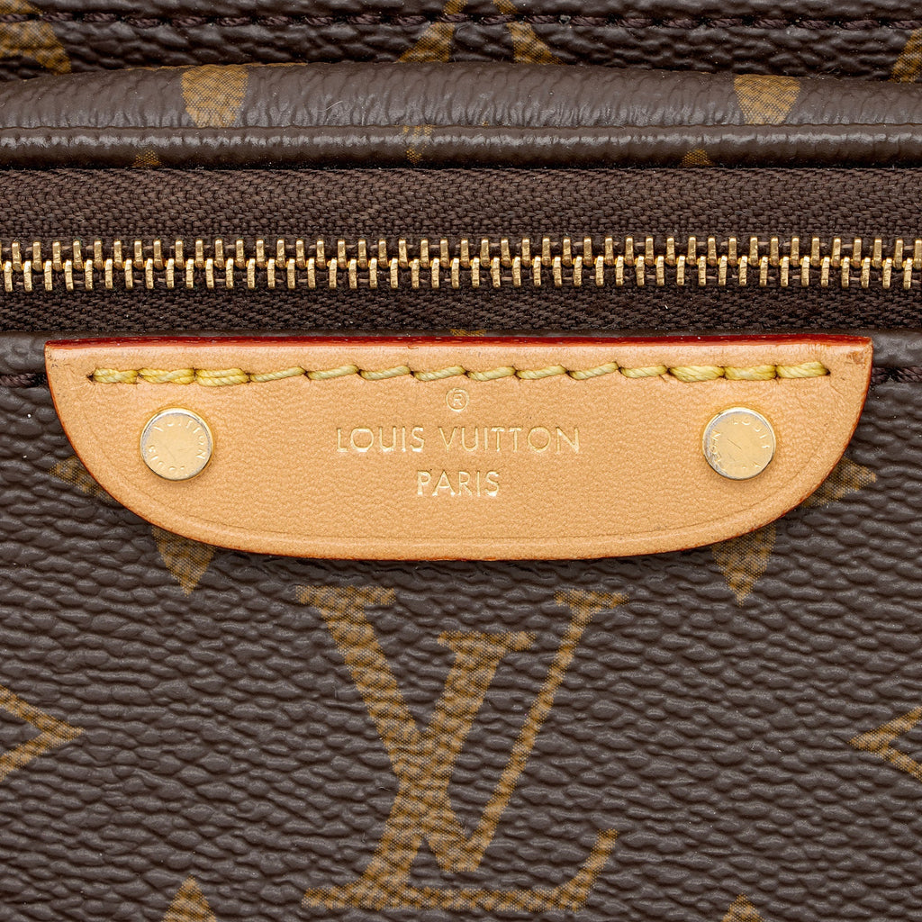 Louis Vuitton Monogram Canvas Mini Bumbag