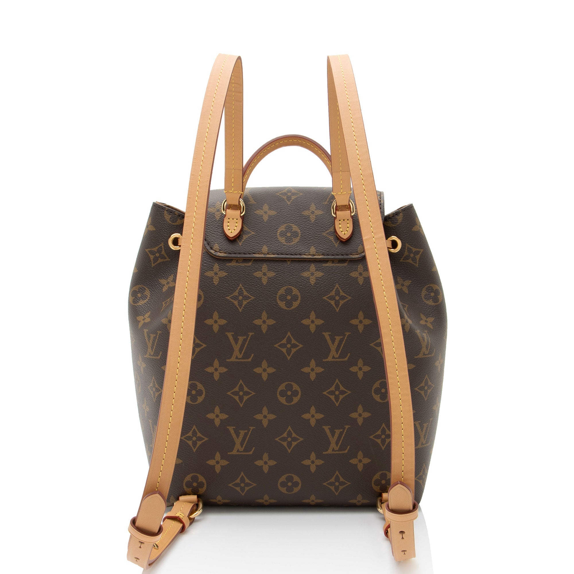 Louis Vuitton Monogram Canvas Montsouris PM NM Backpack