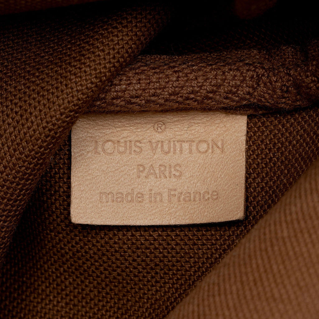 Louis Vuitton Monogram Canvas Multi-Pochette Accessoires (SHF-aAhVhO)