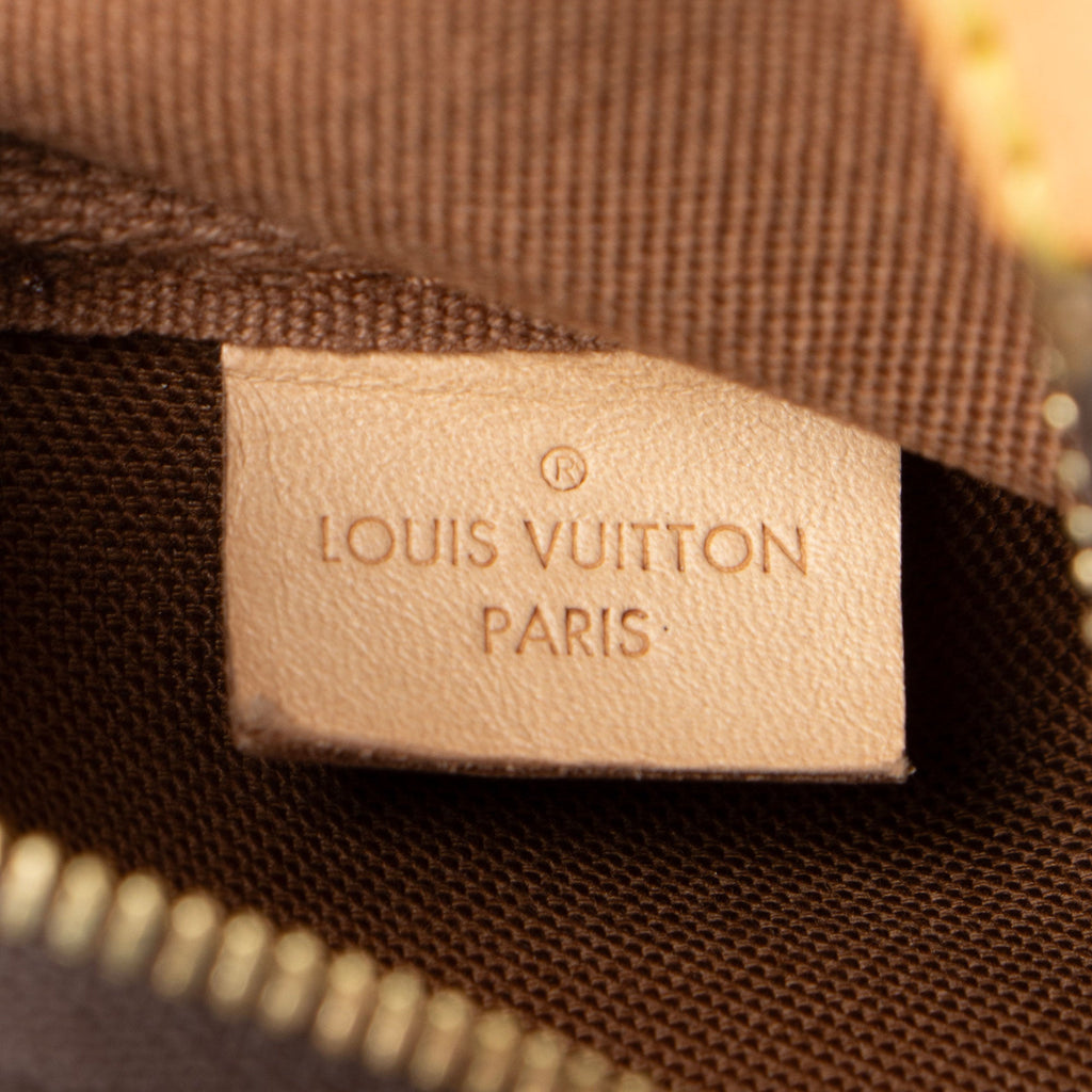 Louis Vuitton Monogram Canvas Multi-Pochette Accessoires (SHF-13NbG3)