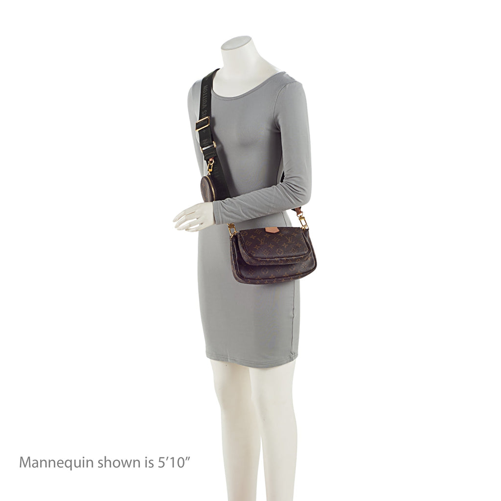 Louis Vuitton Monogram Canvas Multi-Pochette Accessoires