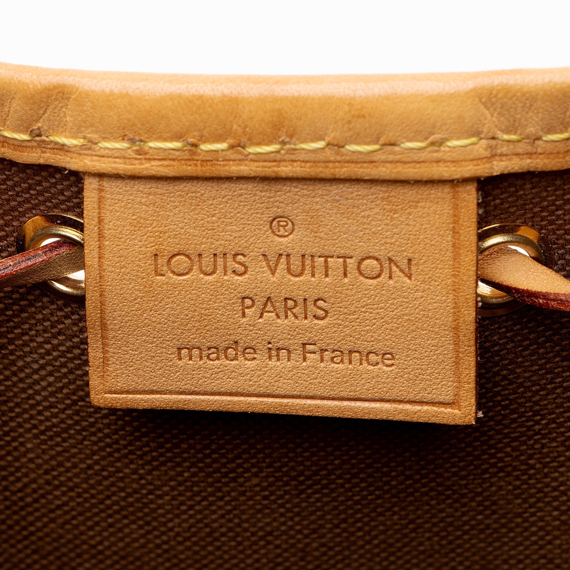 Louis Vuitton Monogram Canvas Nano Noe Shoulder Bag