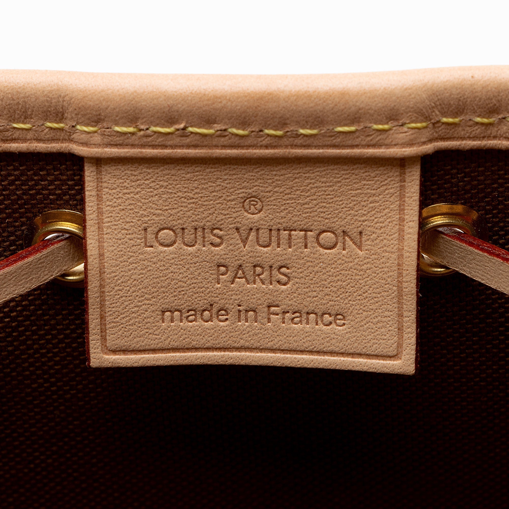 Louis Vuitton Monogram Canvas Nano Noe Shoulder Bag