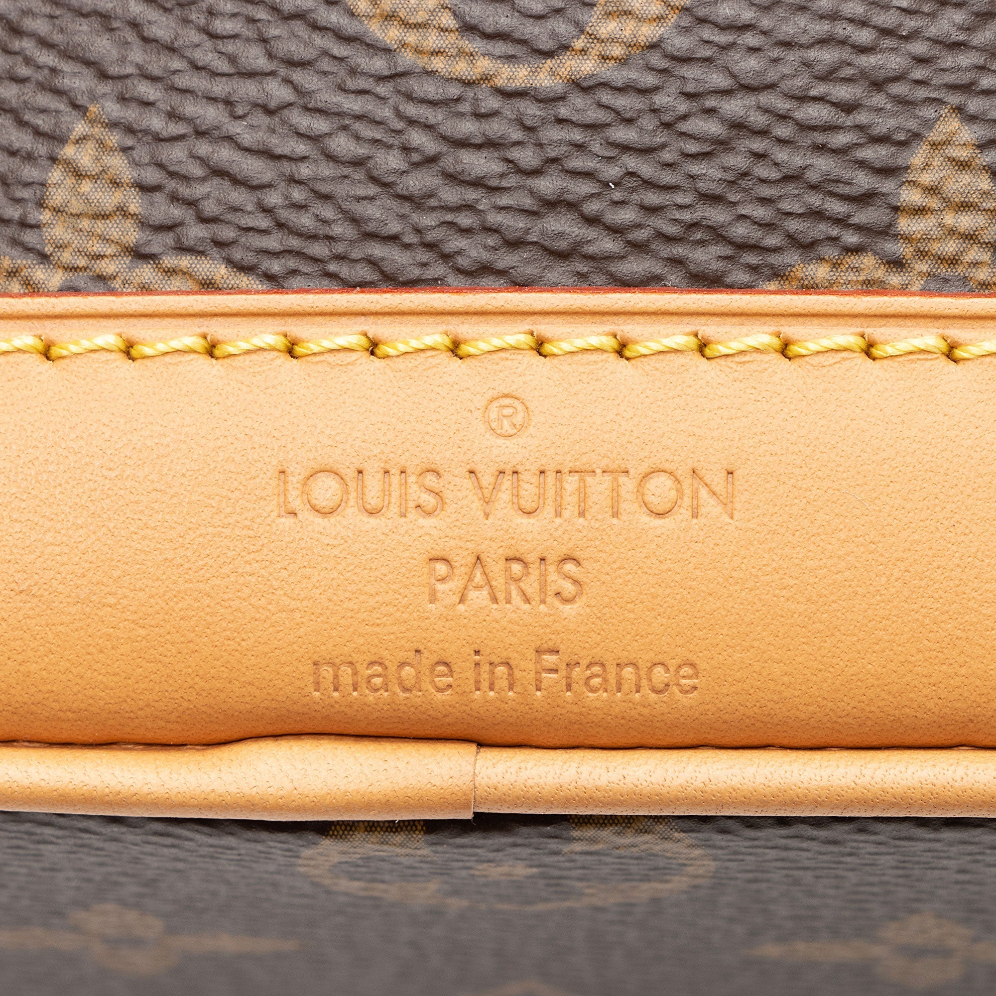 Louis Vuitton Monogram Canvas Nano Noe Shoulder Bag