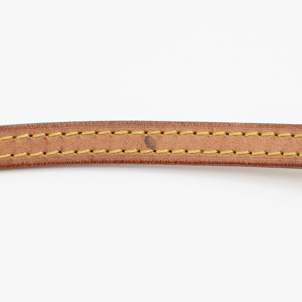 Louis Vuitton Monogram Canvas Nano Speedy Satchel (SHF-v8GlEI)